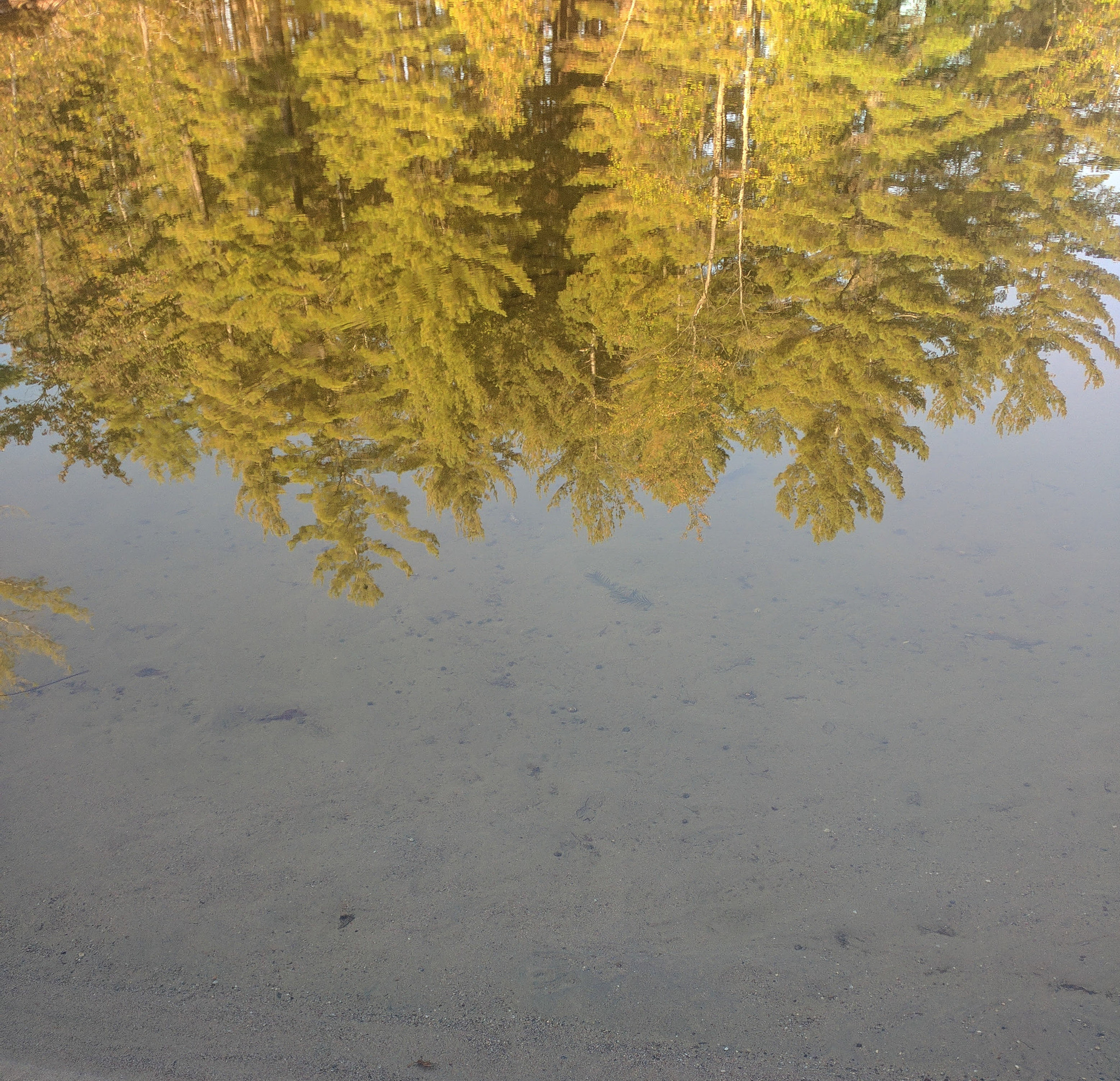 Motorola Nexus 6 sample photo. Sitting on the beach, reflecting. photography