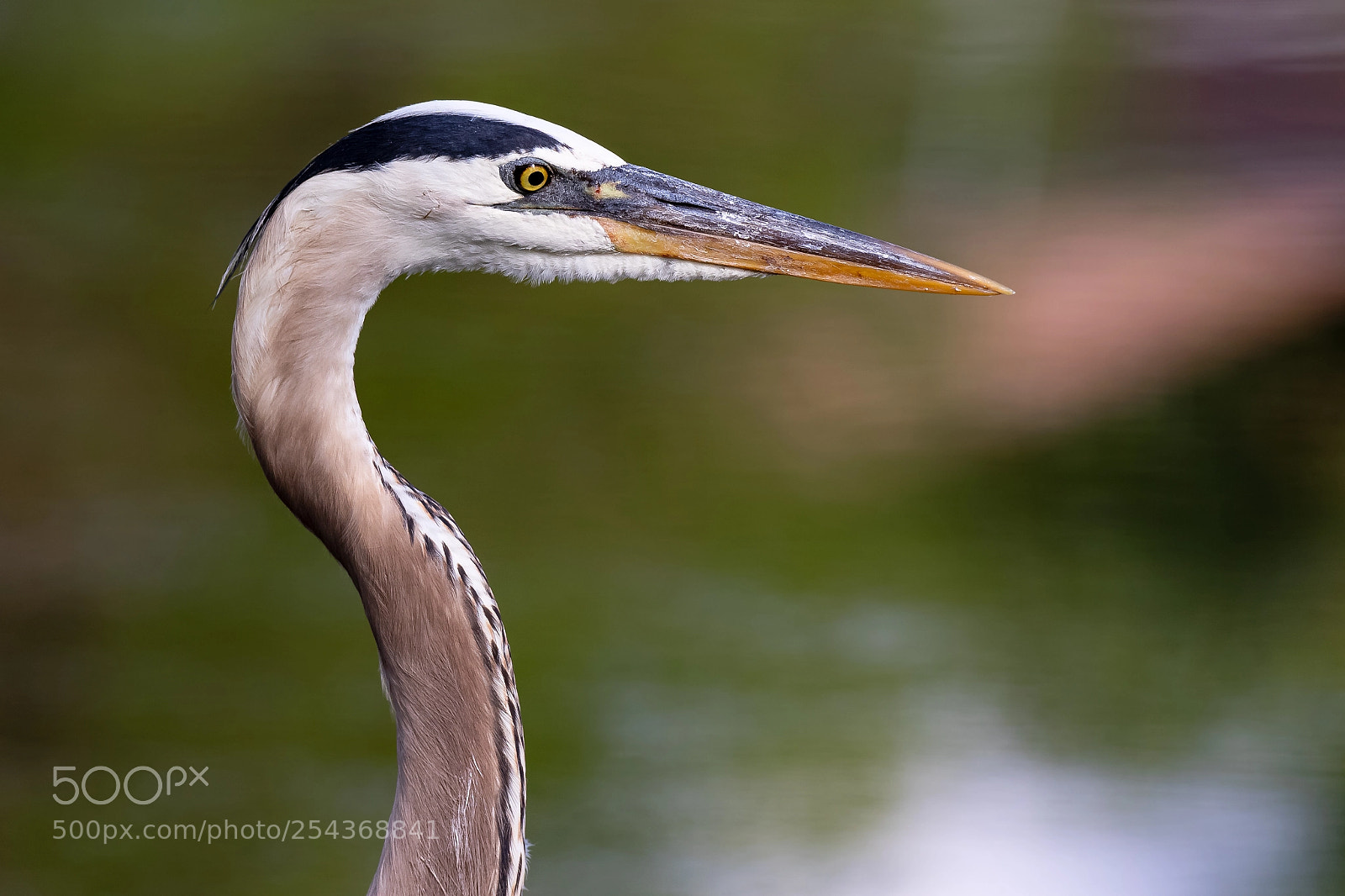 Canon EOS 7D Mark II sample photo. Posing photography