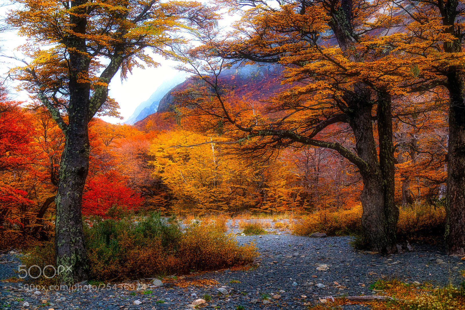 Canon EOS 5D Mark IV sample photo. Autumn in patagonia photography