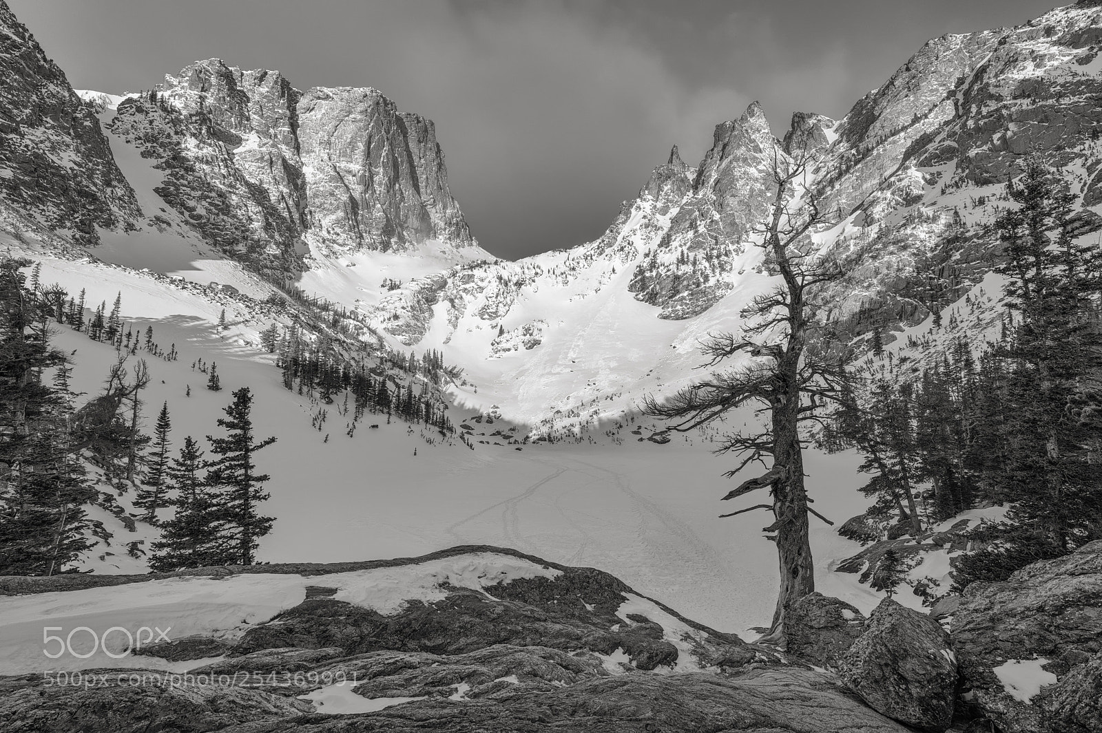 Sony a7R III sample photo. Road to the rockies photography