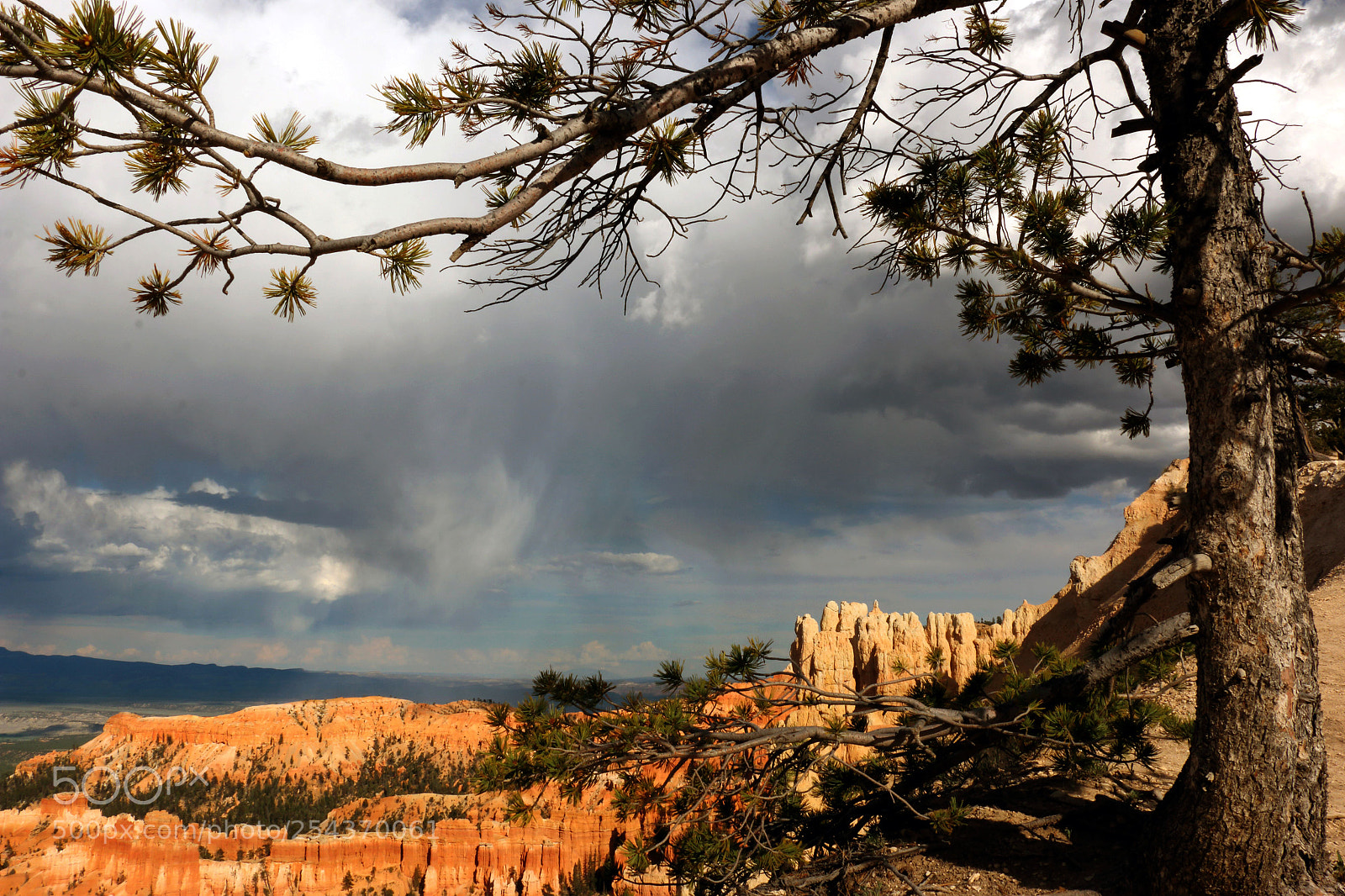 Canon EOS 70D sample photo. Rain on bryce canyon photography