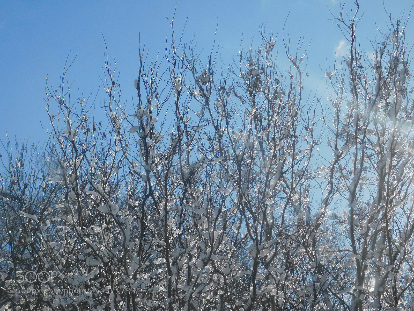 Nikon Coolpix B500 sample photo. Untitled photography