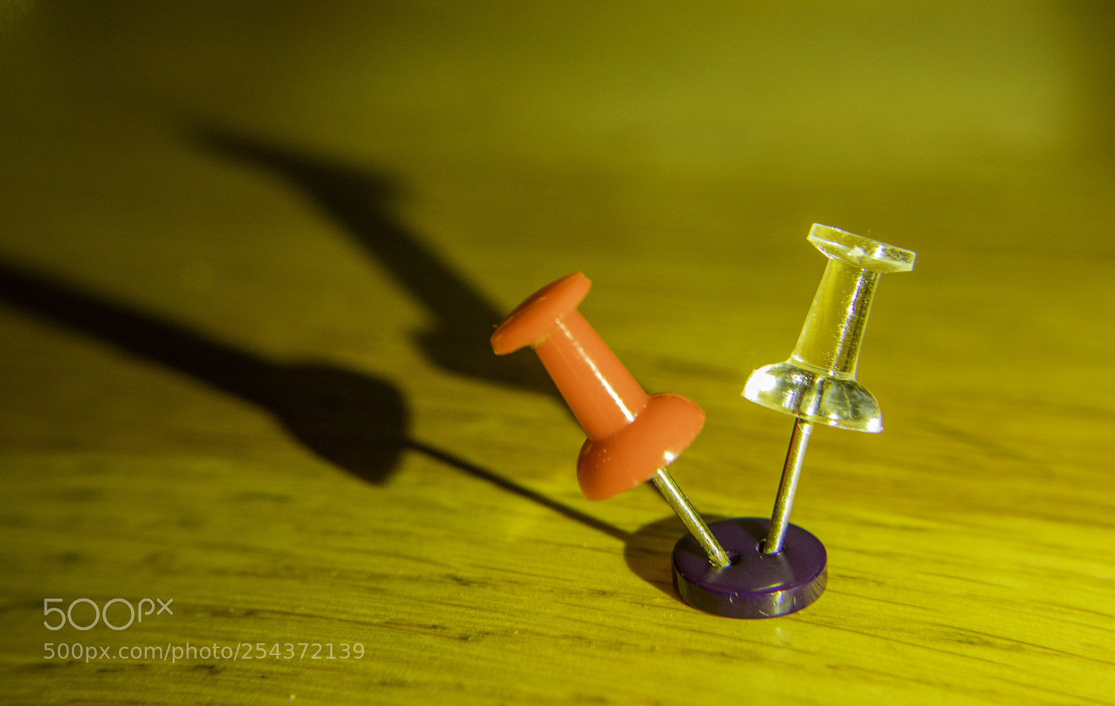 Canon EOS 5D Mark IV sample photo. Two pins and a photography