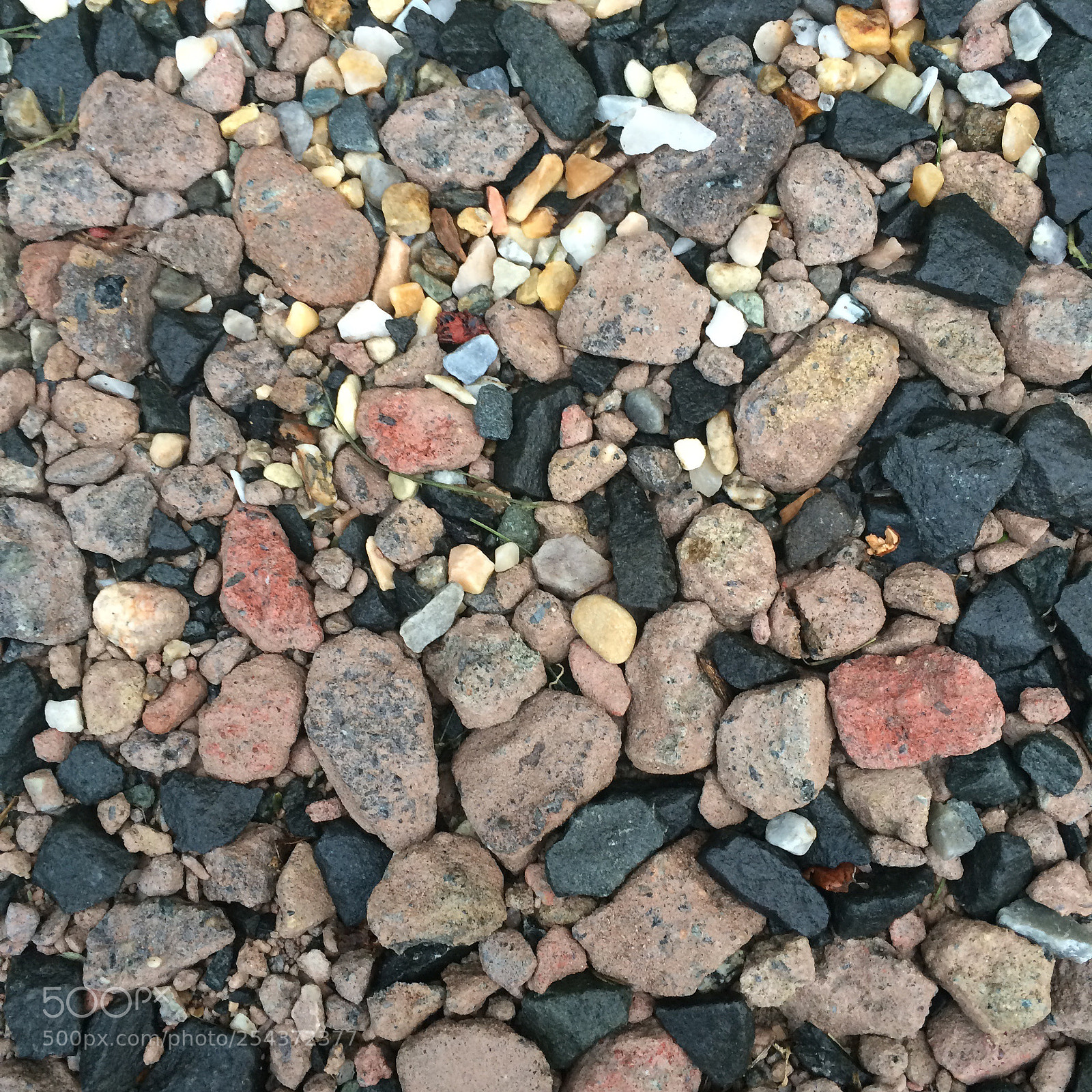 Apple iPhone 5s sample photo. Untitled photography