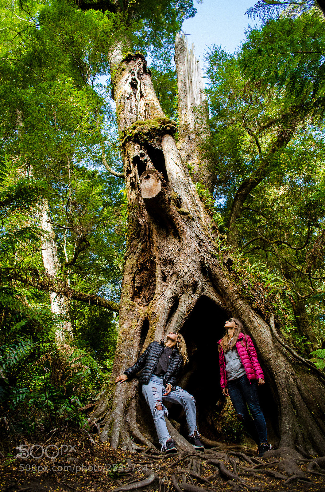 Nikon D5100 sample photo. Maits walk in the photography