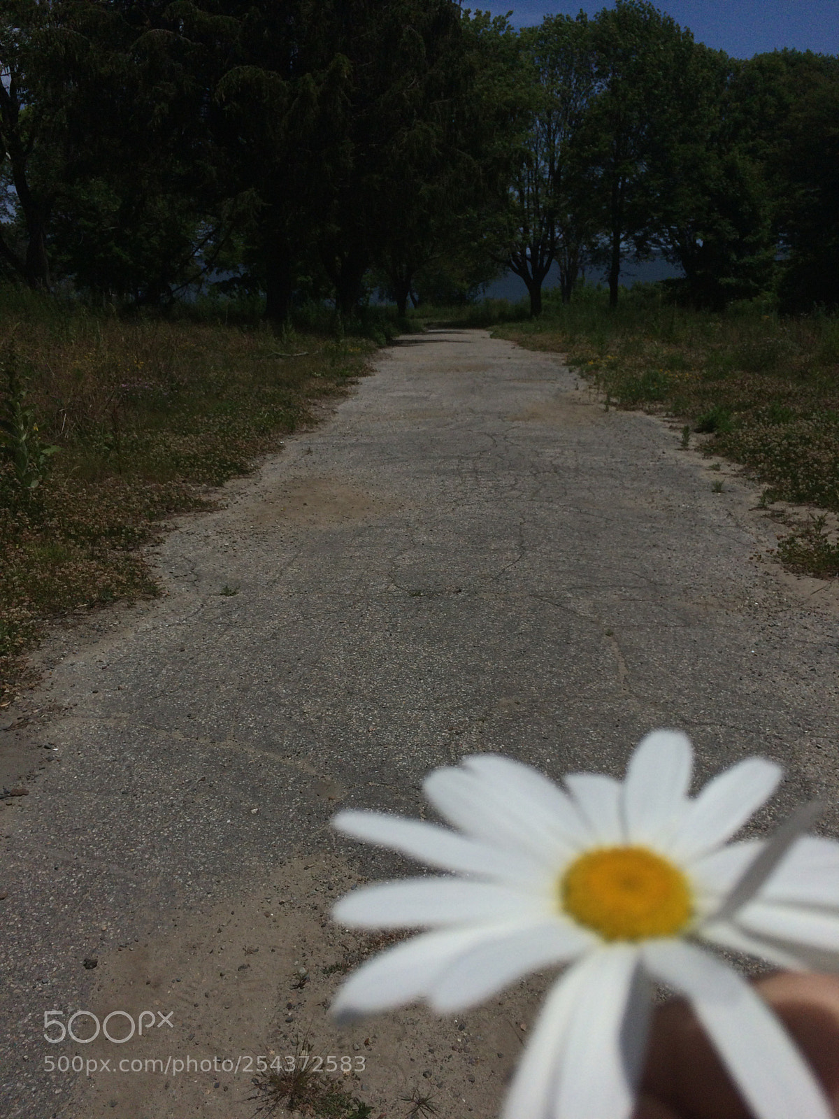 Apple iPhone 5s sample photo. Untitled photography
