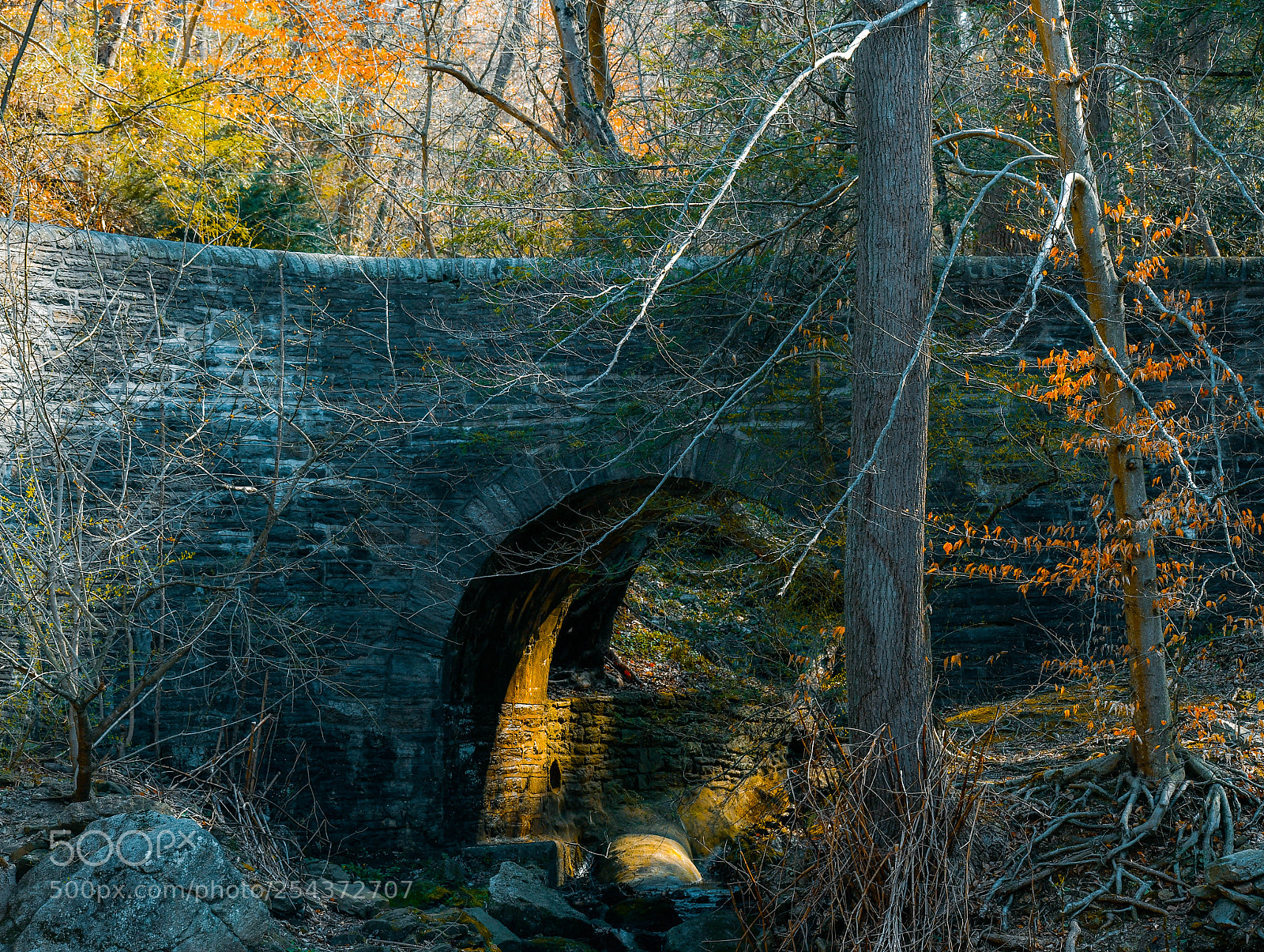 Nikon D7500 sample photo. Wissahickon valley park | fairmount photography