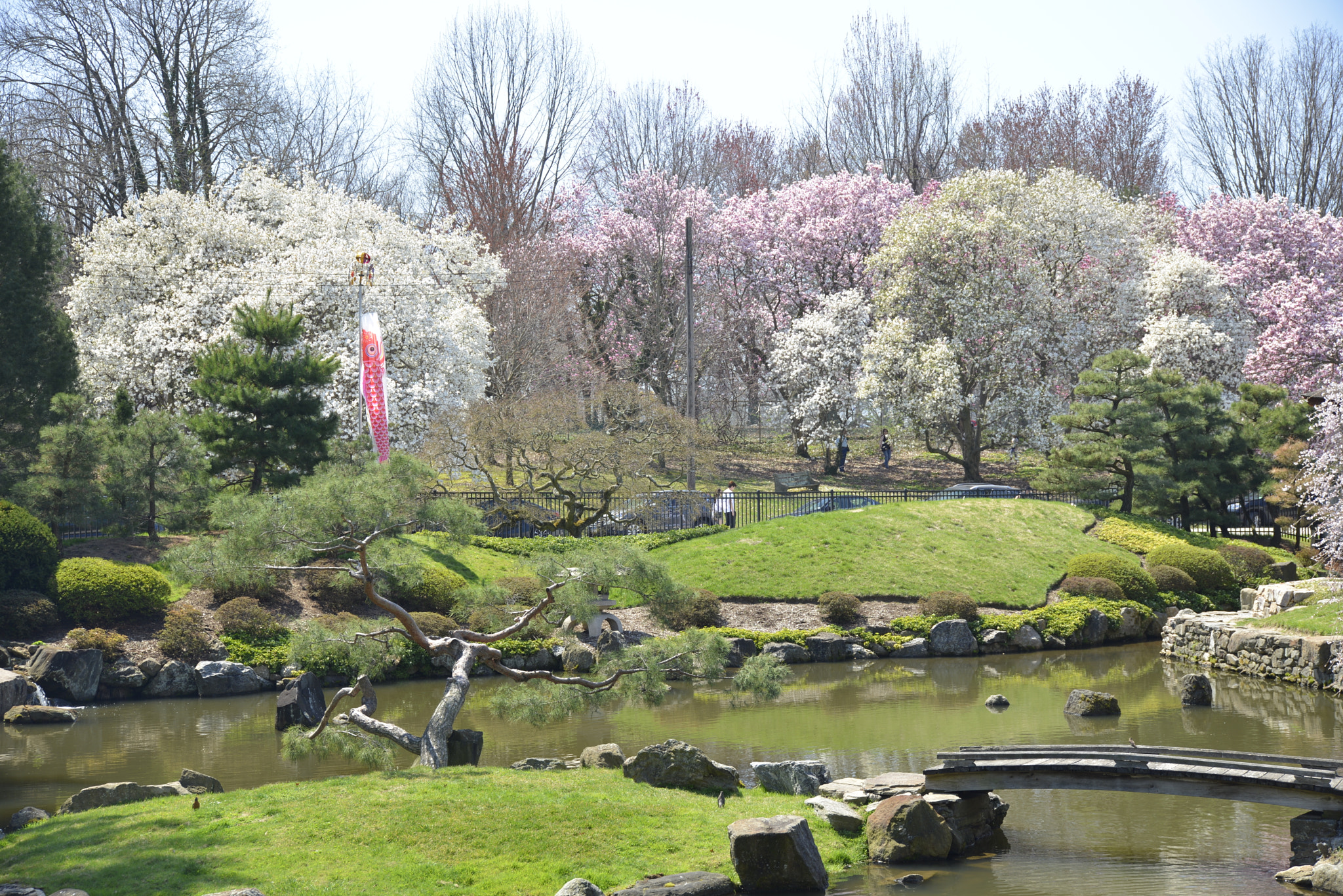 Nikon D600 sample photo. April in japanese house photography