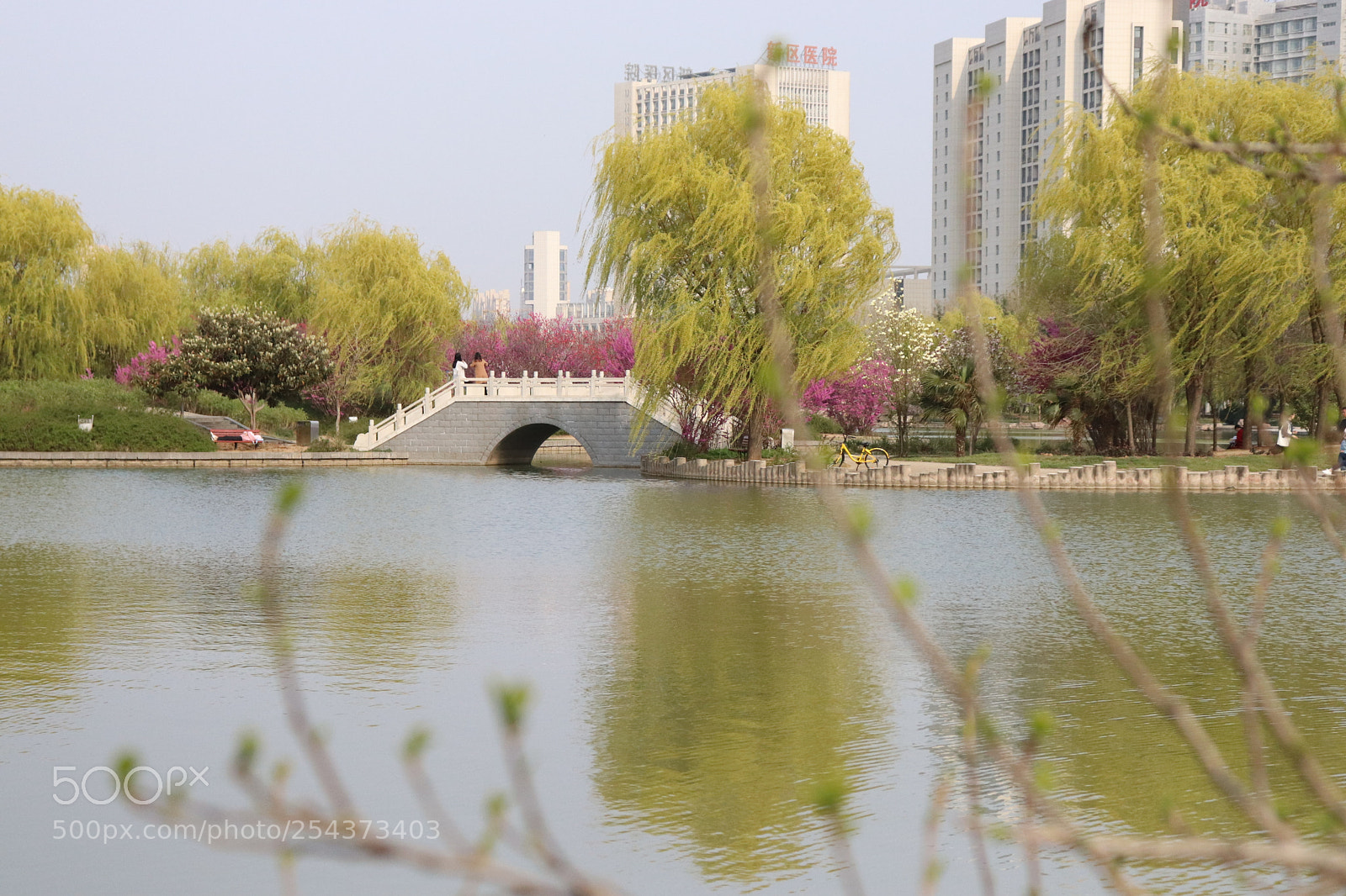 Canon EOS 800D (EOS Rebel T7i / EOS Kiss X9i) sample photo. 桥上佳人 photography