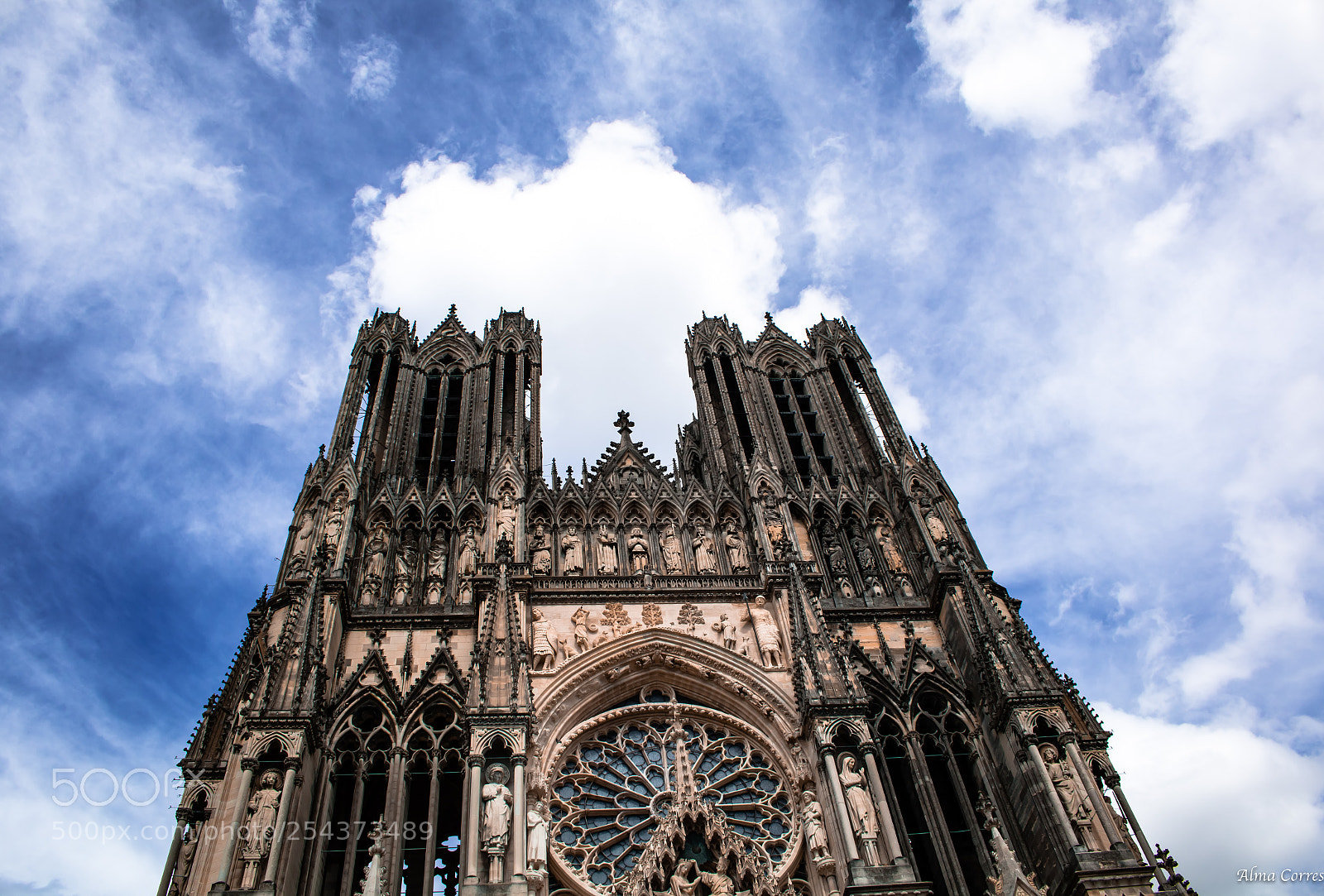 Canon EOS 70D sample photo. Reaching heaven photography