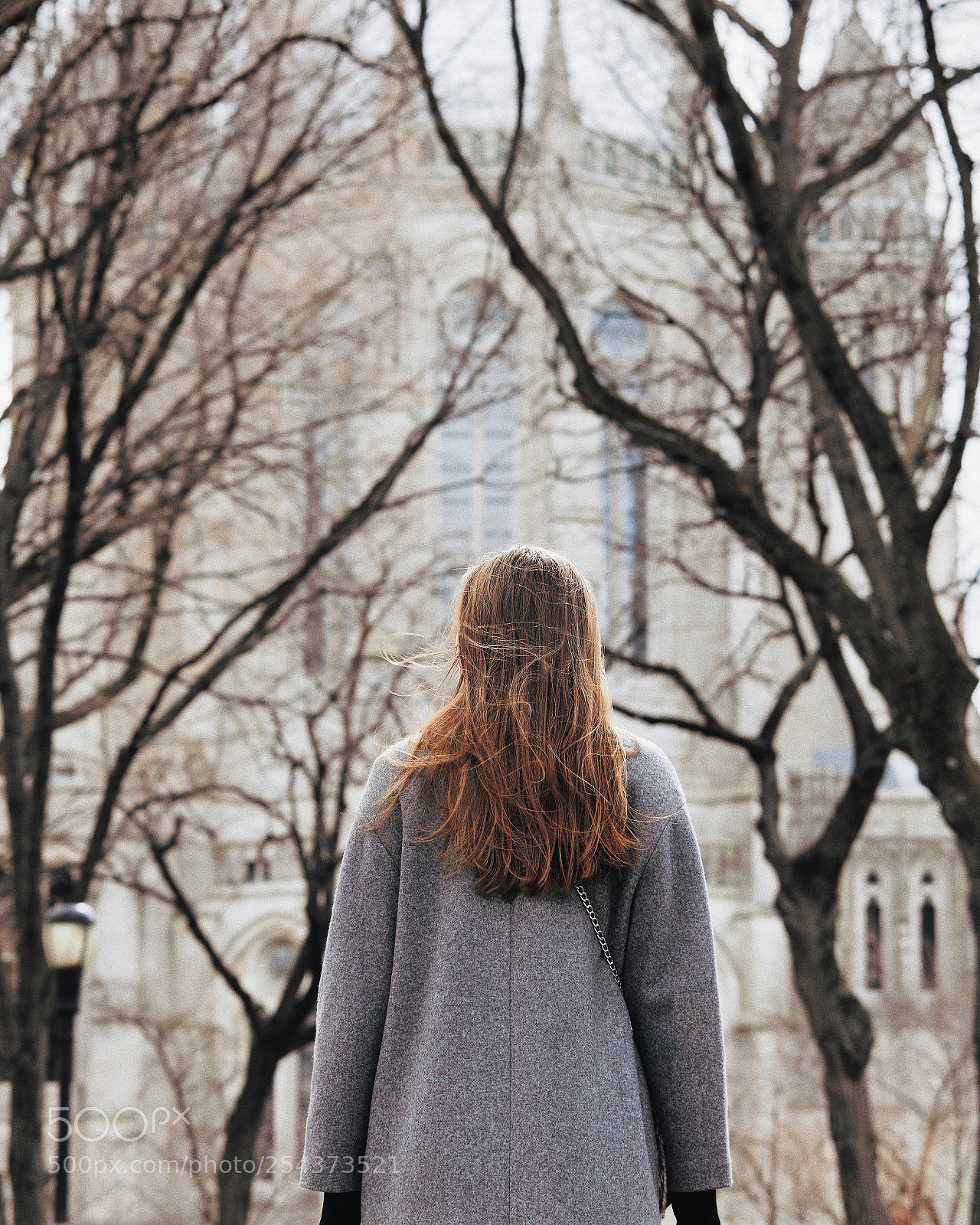 Canon EOS 5D Mark IV sample photo. Viktoria shestakova photography