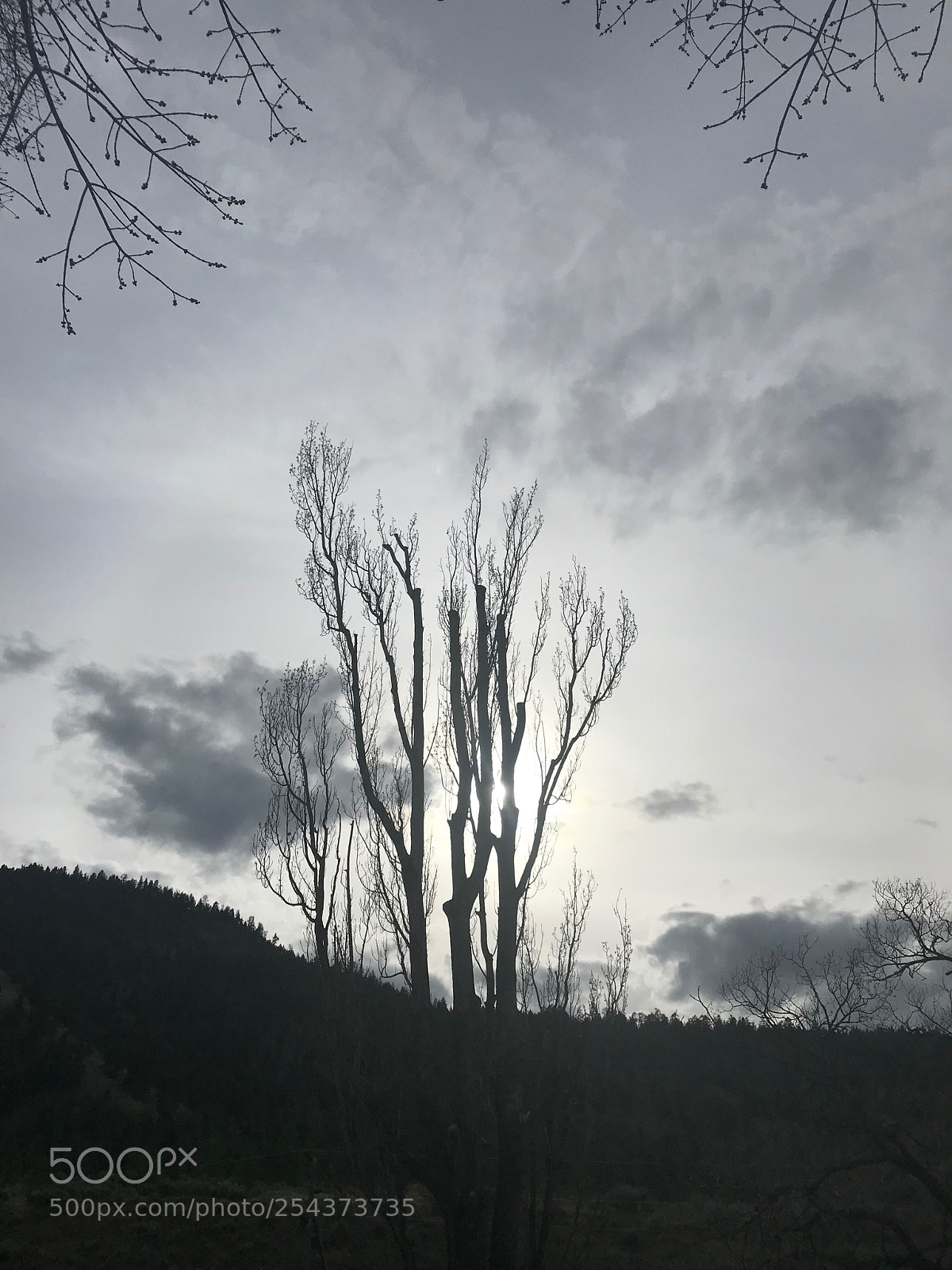 Apple iPhone 7 sample photo. Anywhere in british columbia  photography