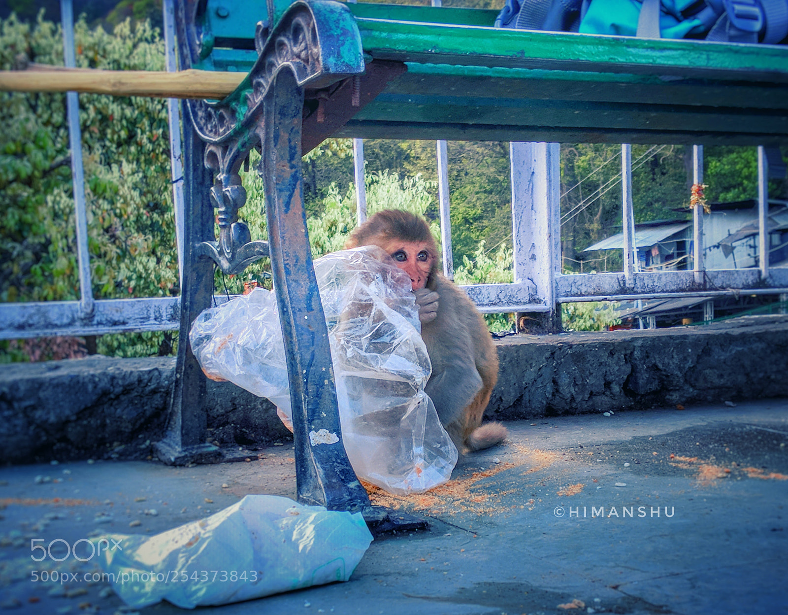 Xiaomi Mi A1 sample photo. Untitled photography