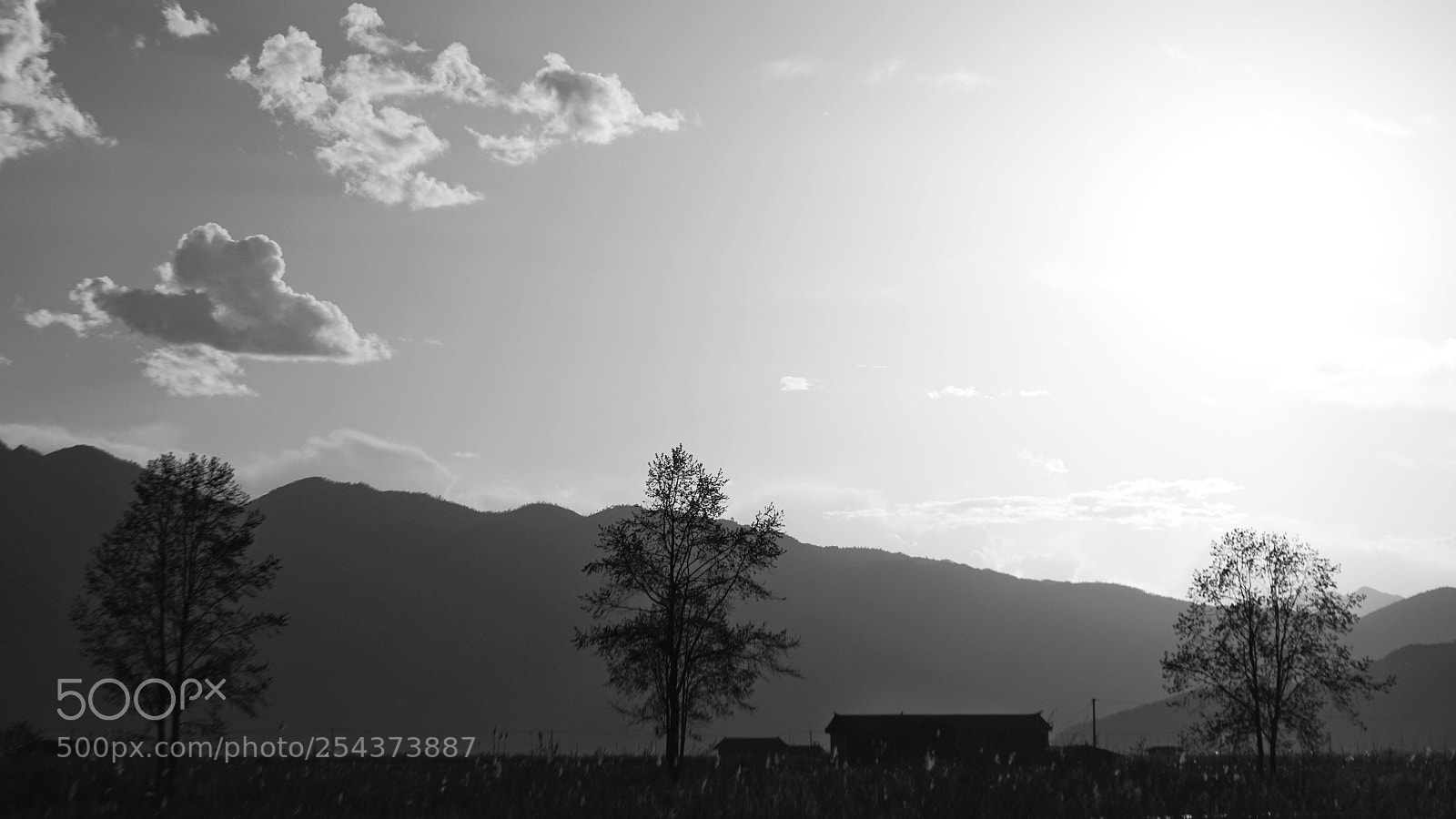 Sony a6300 sample photo. Untitled photography