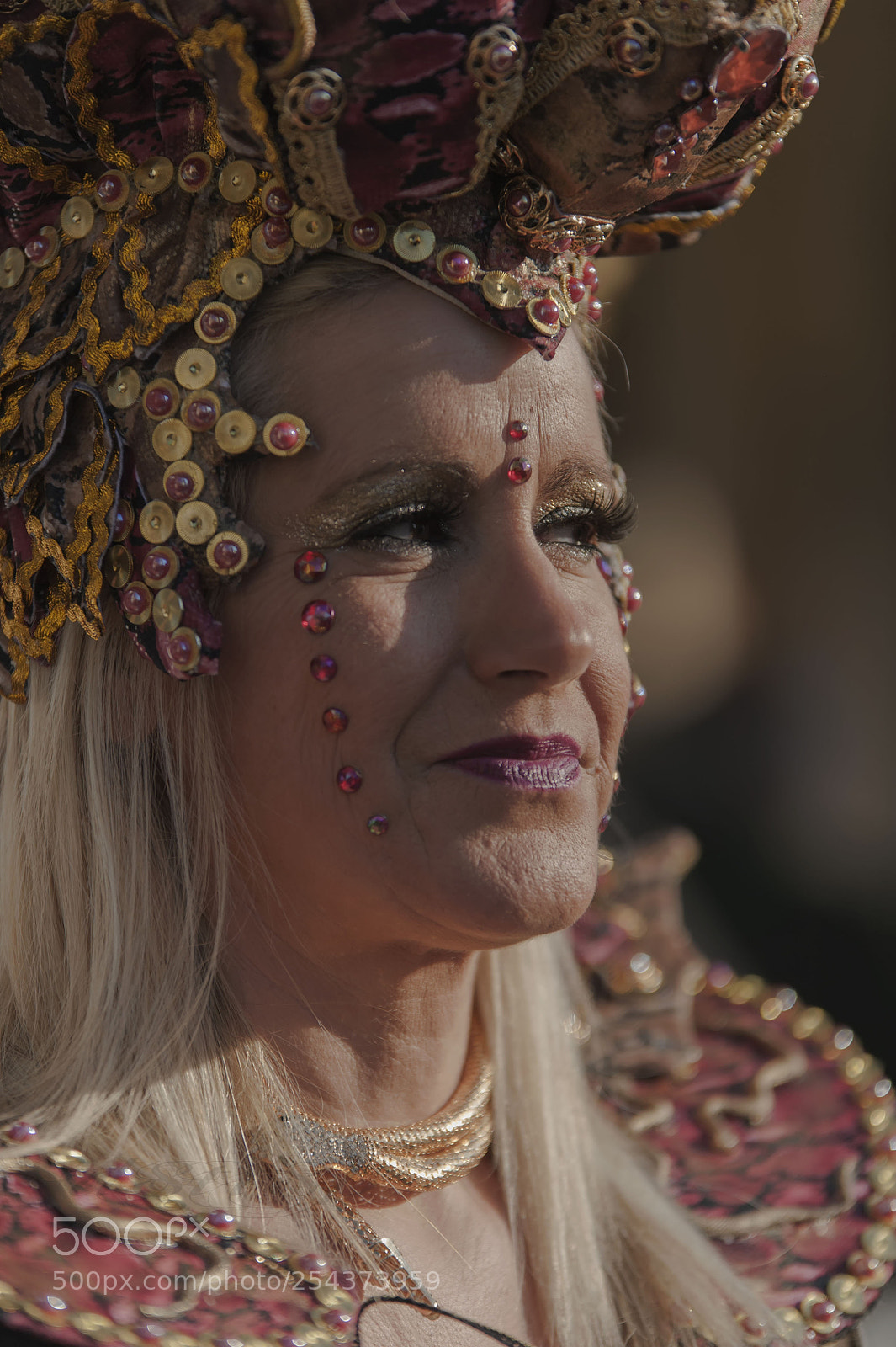 Nikon D700 sample photo. Carnaval  a venise photography