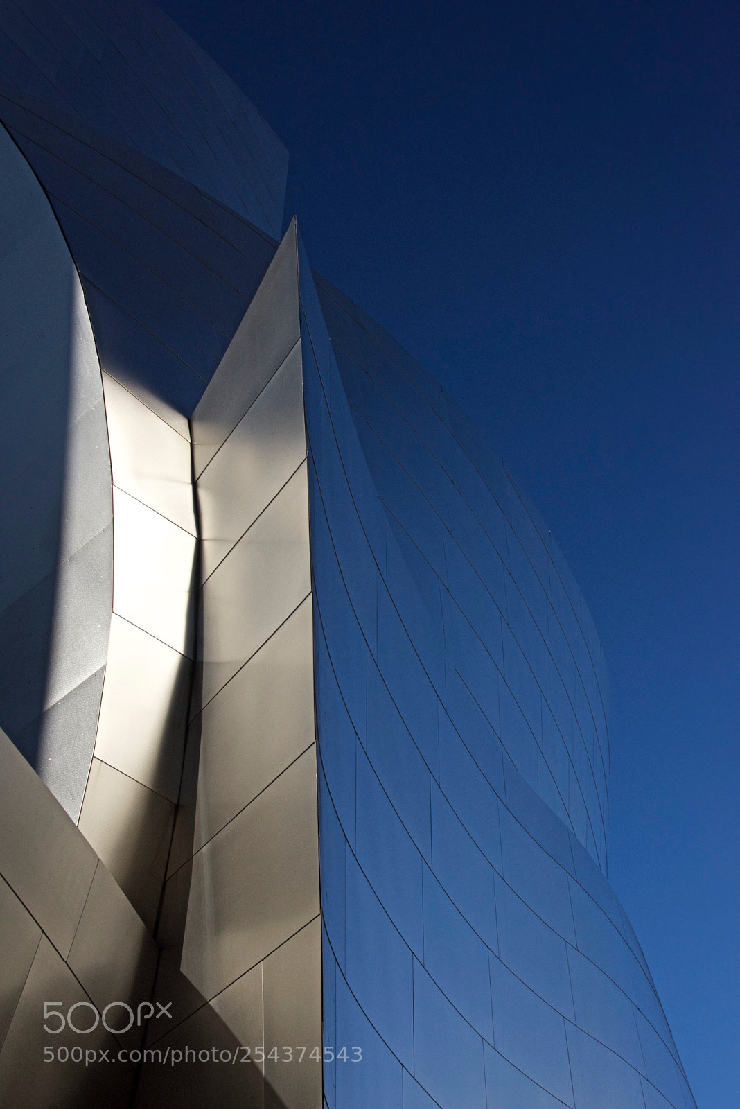 Nikon D810 sample photo. Frank gehry  photography