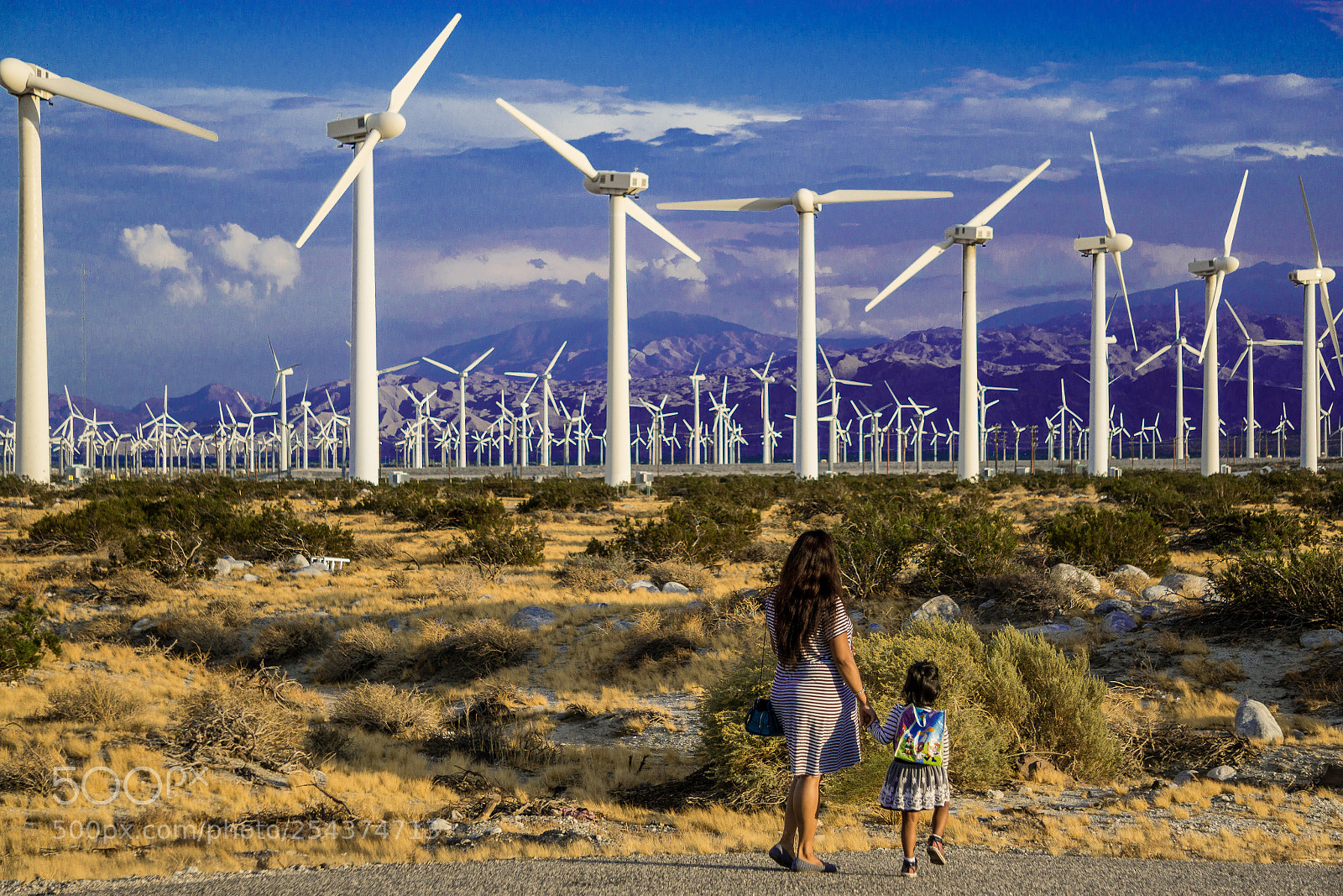 Sony a6000 sample photo. Palmsprings photography