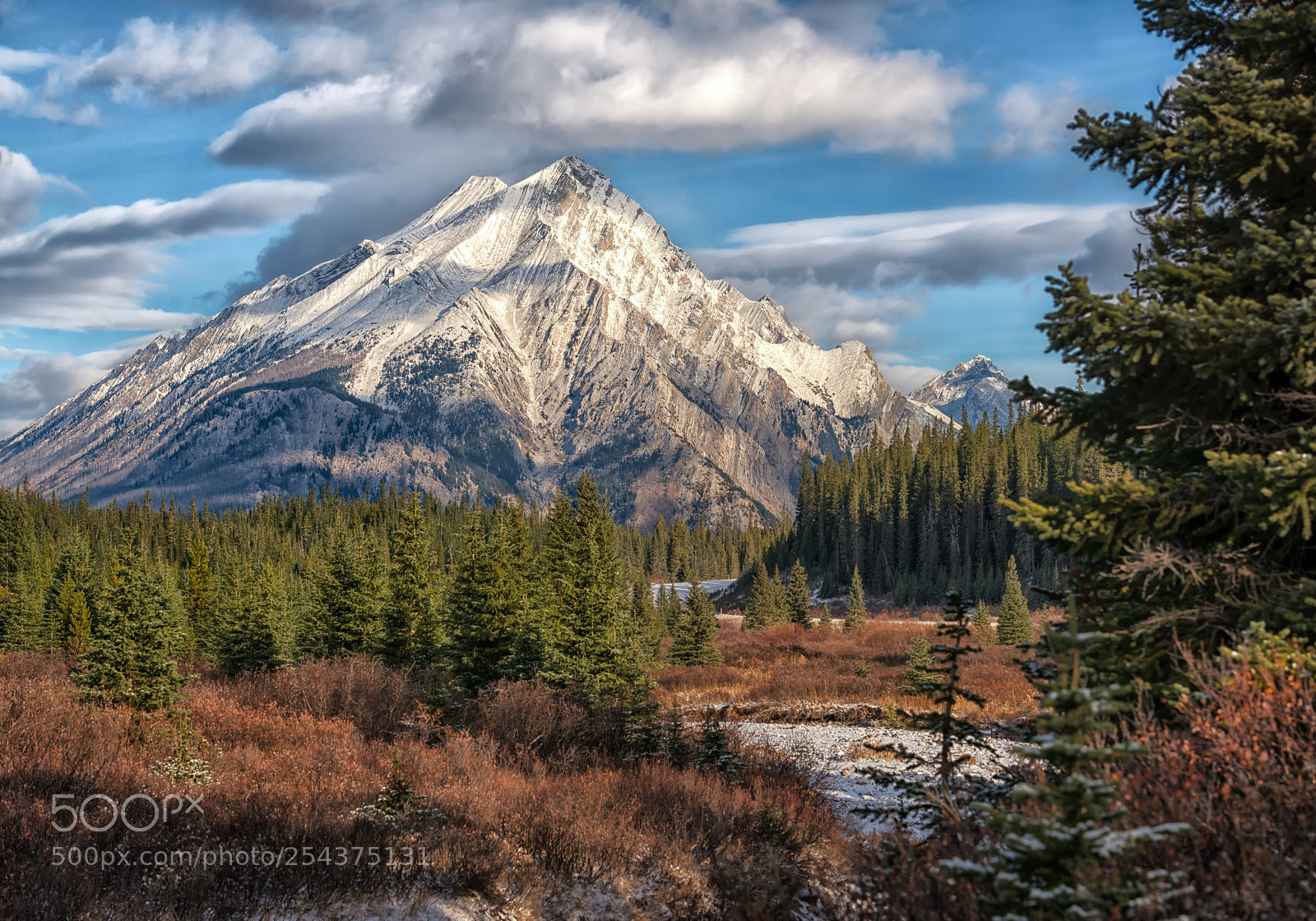 Nikon D800 sample photo. Mt. nestor photography