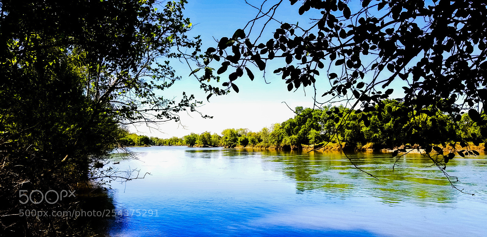 Samsung Galaxy S8+ sample photo. River view thru the photography