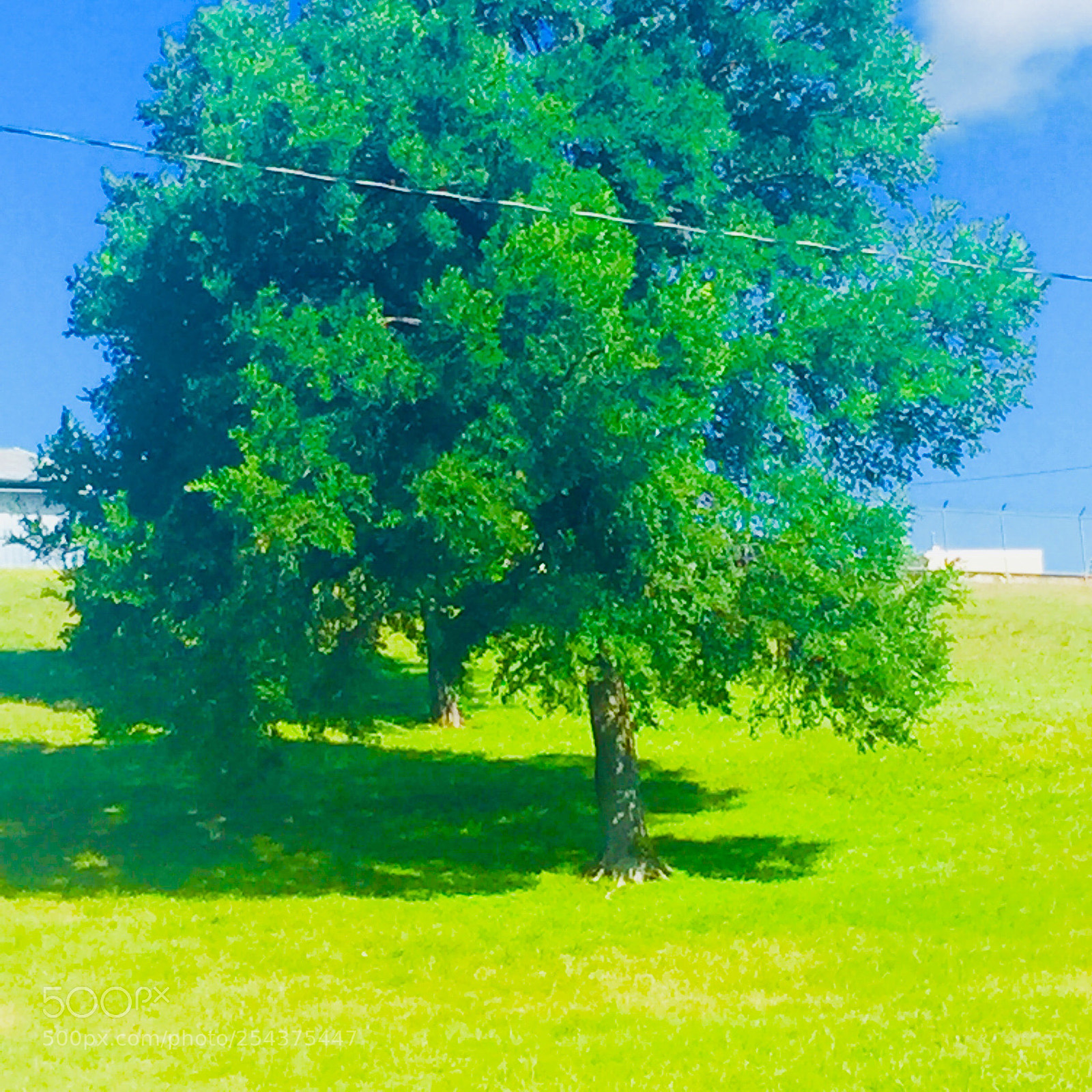 Apple iPhone 6 sample photo. Untitled photography