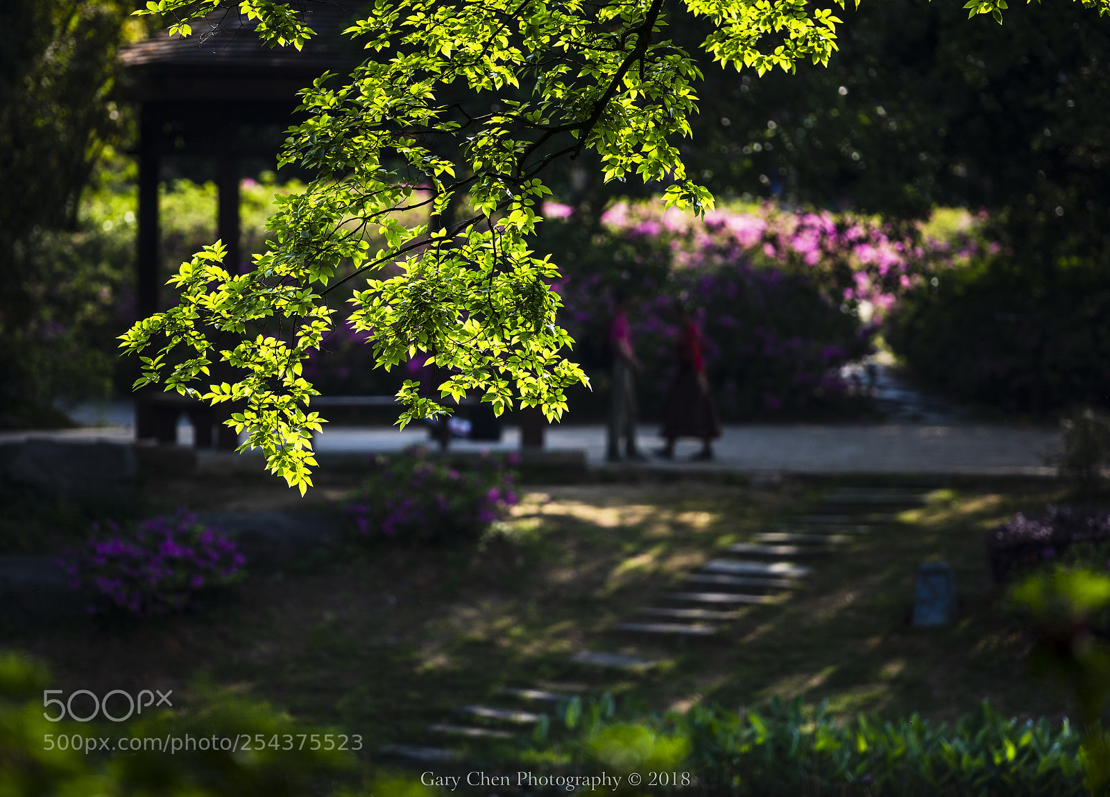 Nikon D810 sample photo. 谷雨时节 photography