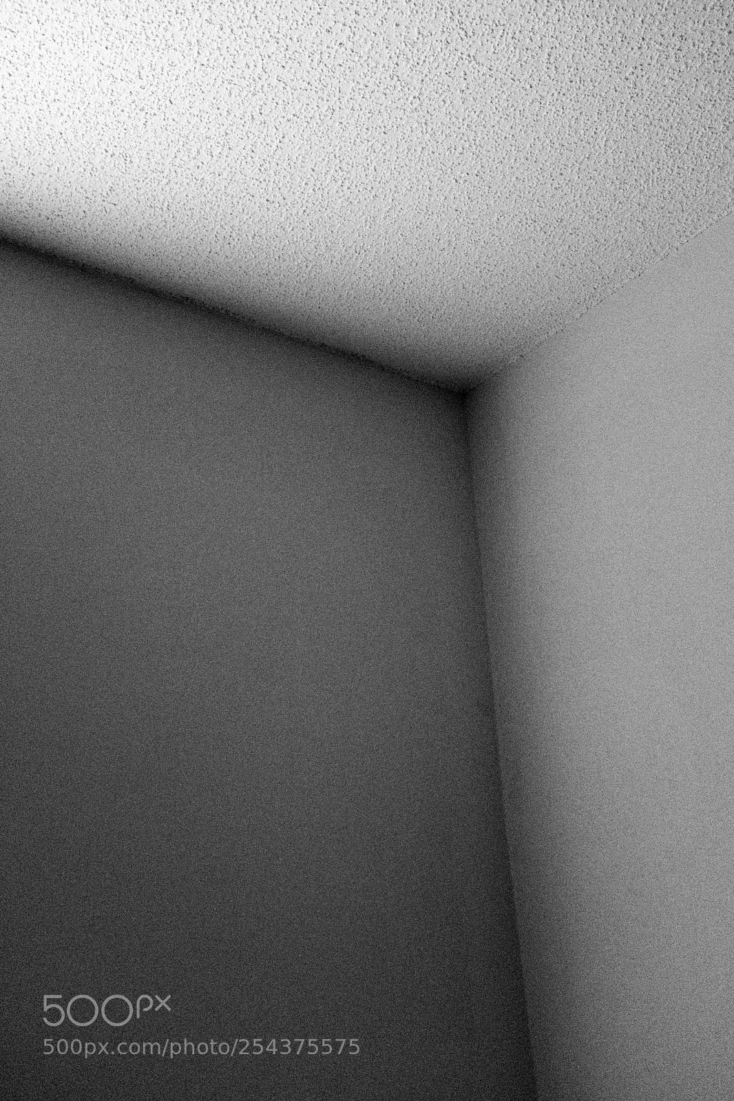 Fujifilm X100F sample photo. First light photography