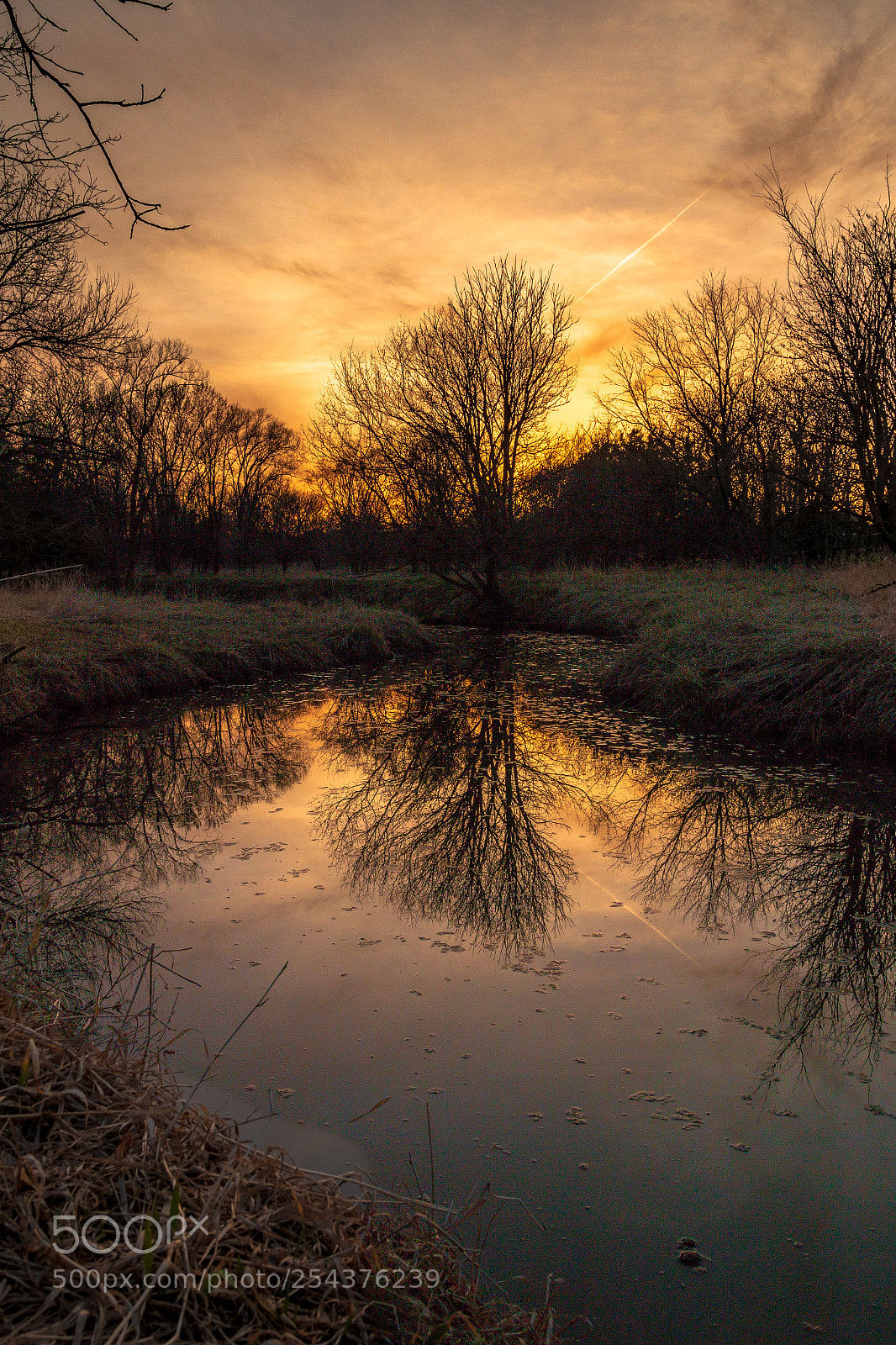 Canon EOS 70D sample photo. Creek photography