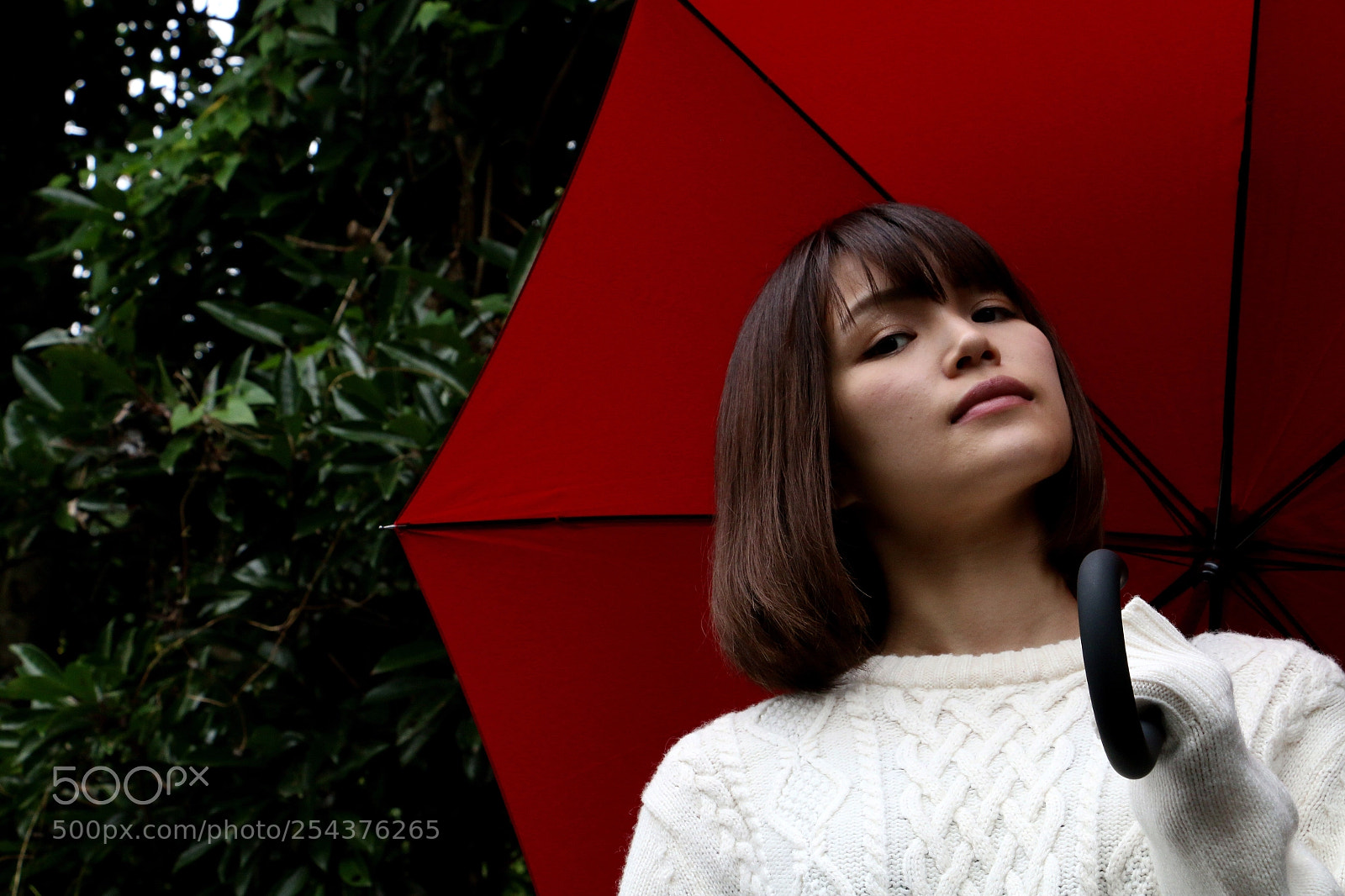Canon EOS 70D sample photo. Red photography