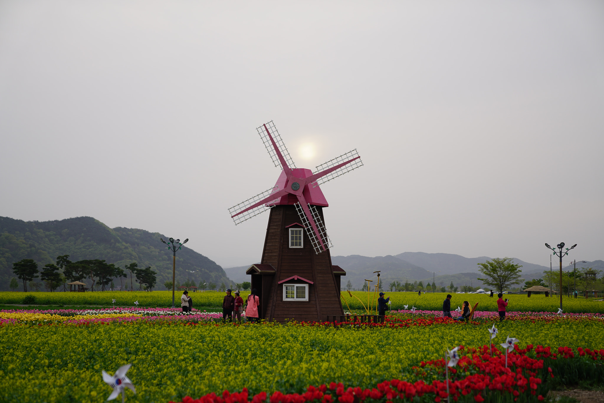 Sony FE 24-70mm F2.8 GM sample photo. Dsc photography