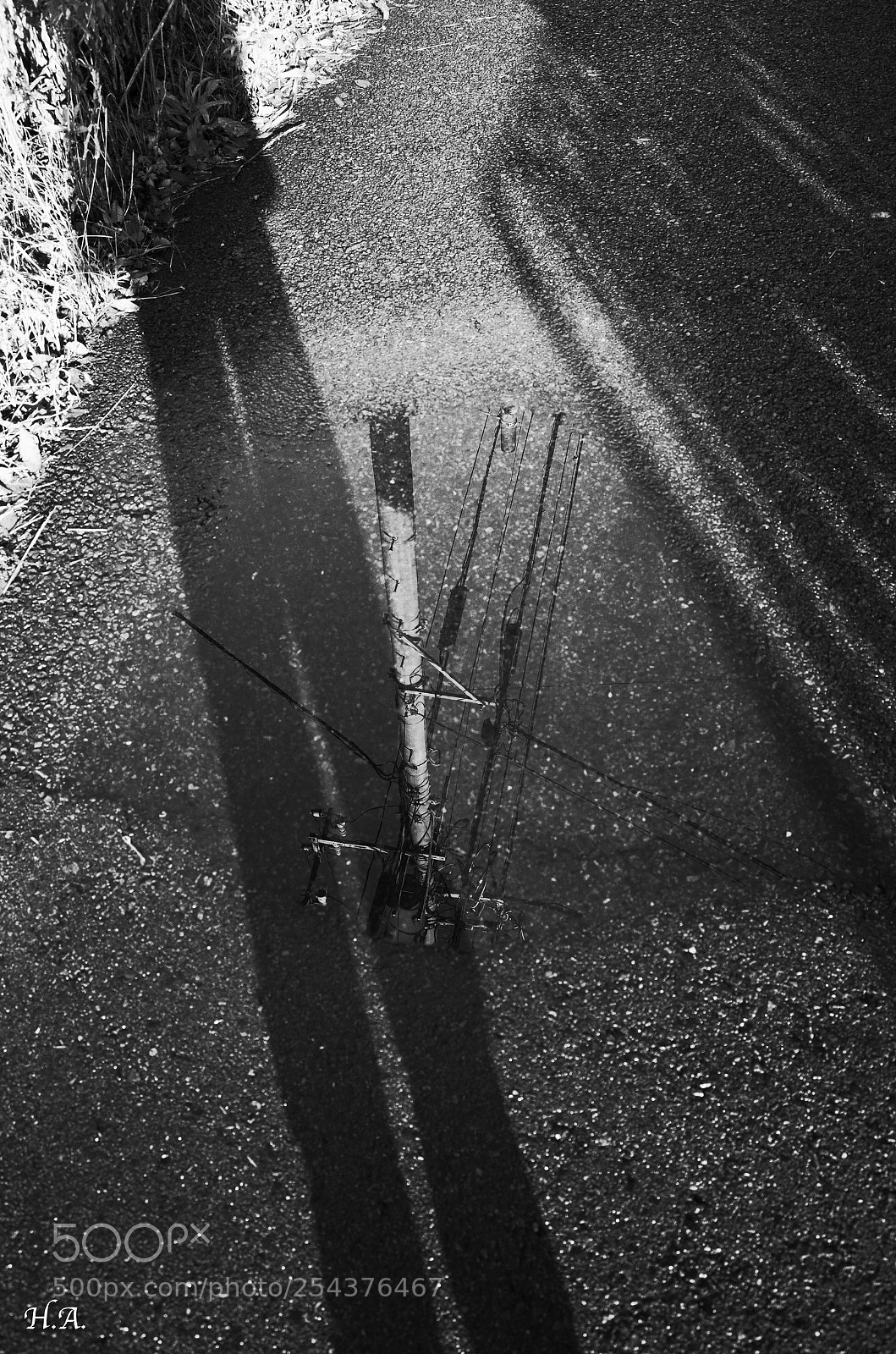 Ricoh GR II sample photo. After the rain. photography