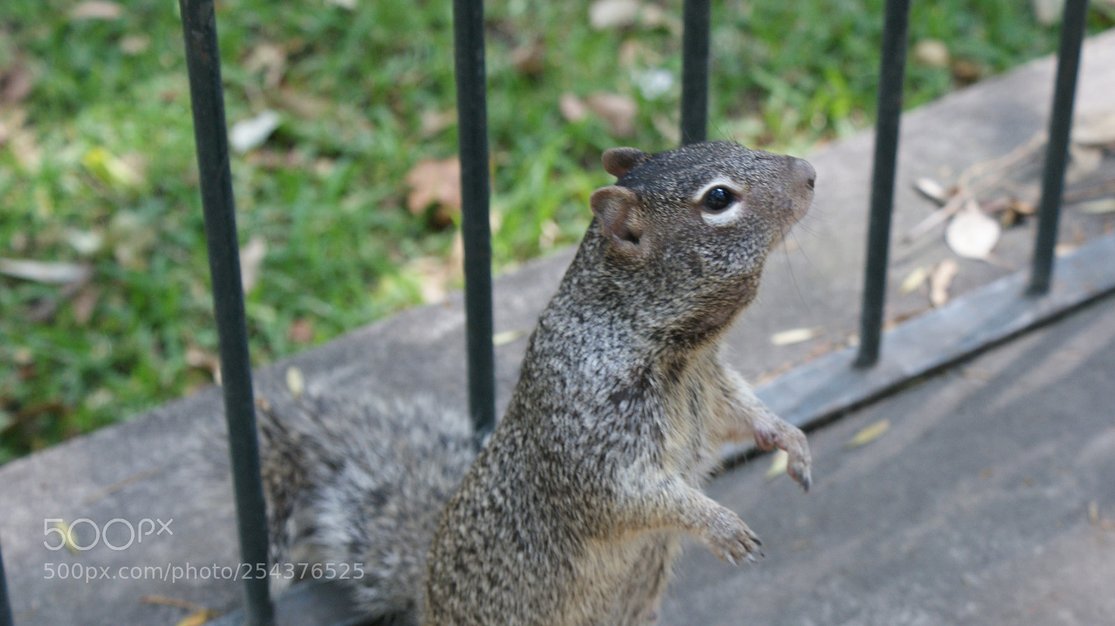 Sony DT 18-70mm F3.5-5.6 sample photo. Teniendo en cuenta la photography
