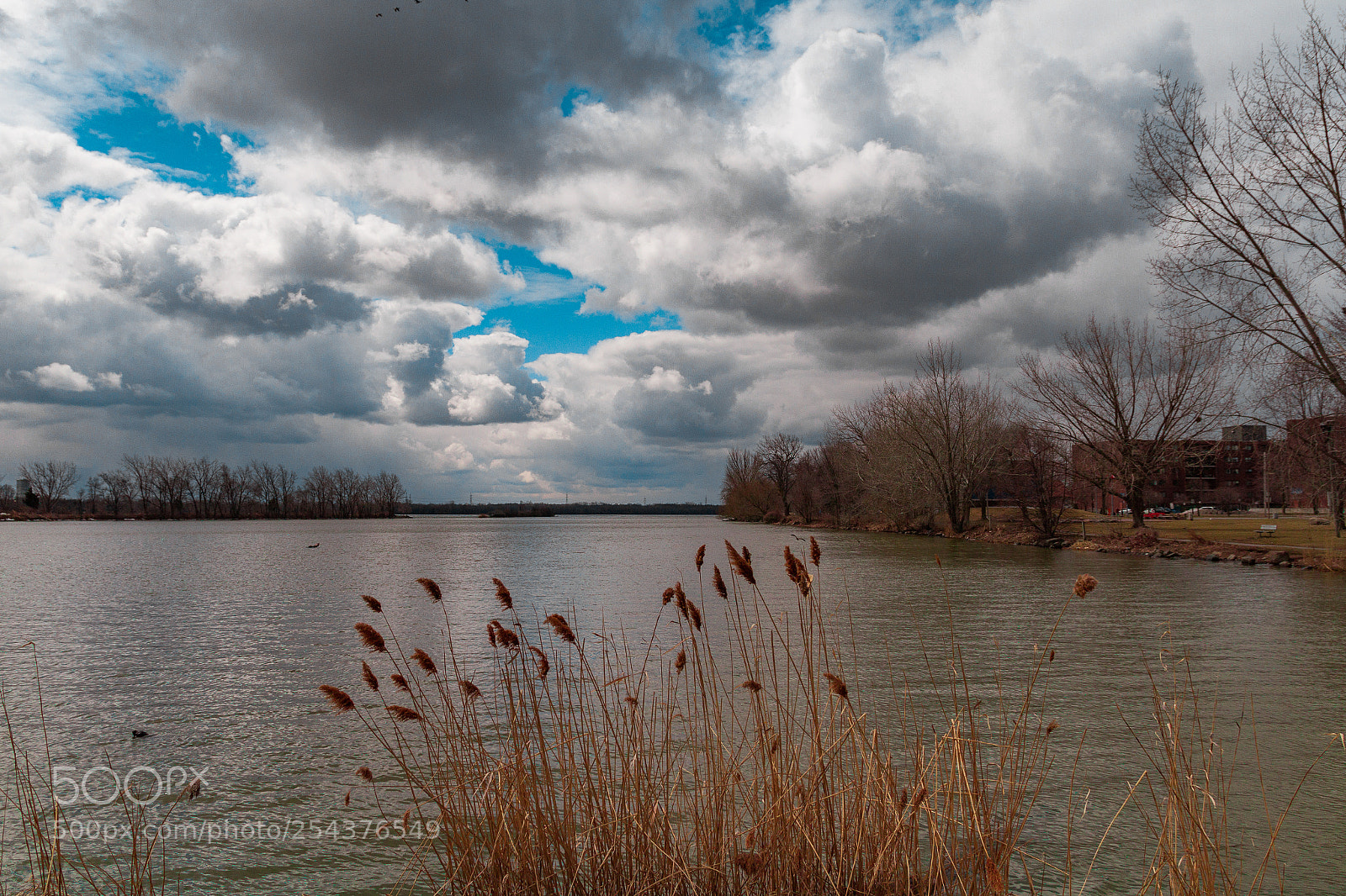 Canon EOS 7D sample photo. Untitled photography