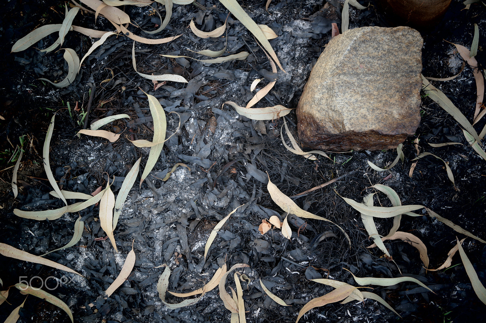 Samsung NX2000 sample photo. Please don't destruct photography