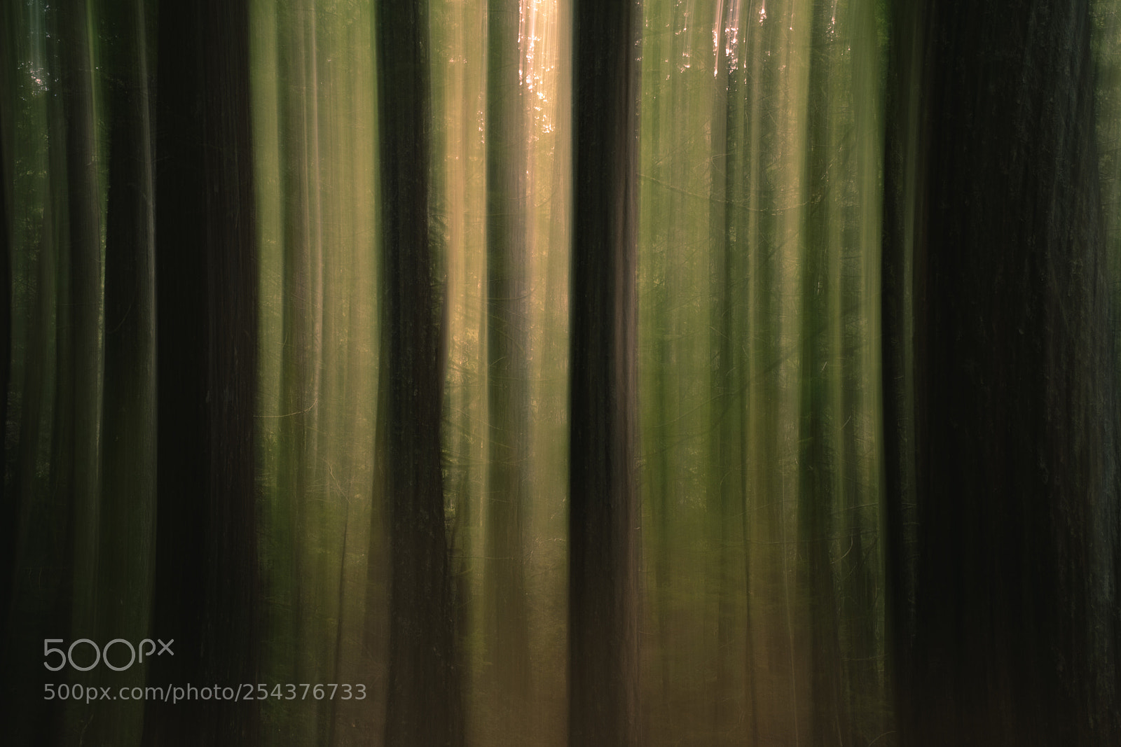 Fujifilm X-T2 sample photo. Abstact? no, abstract. photography