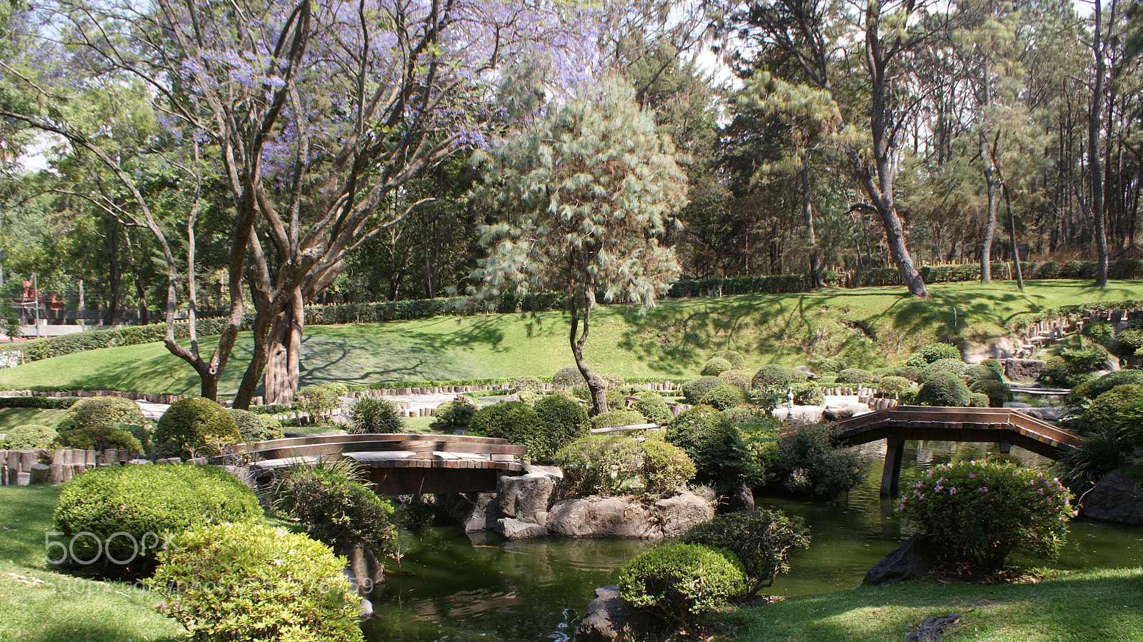 Sony DT 18-70mm F3.5-5.6 sample photo. El calor hacia la photography
