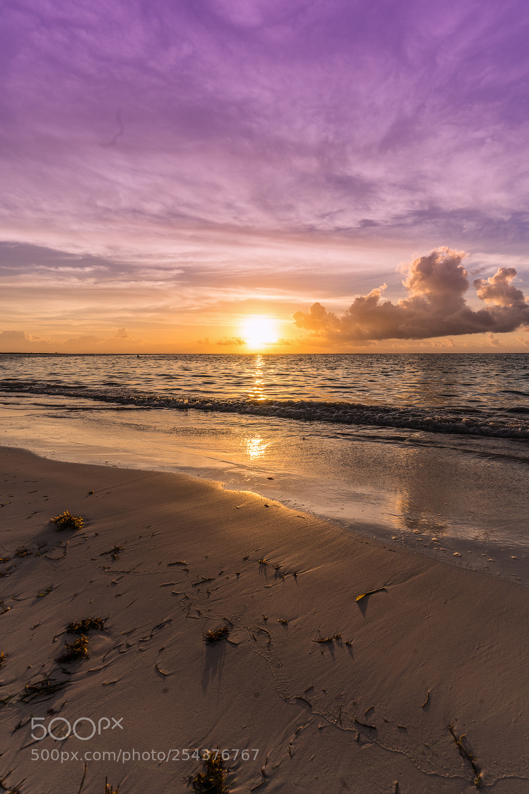 Sony a7R III sample photo. Reflejos photography