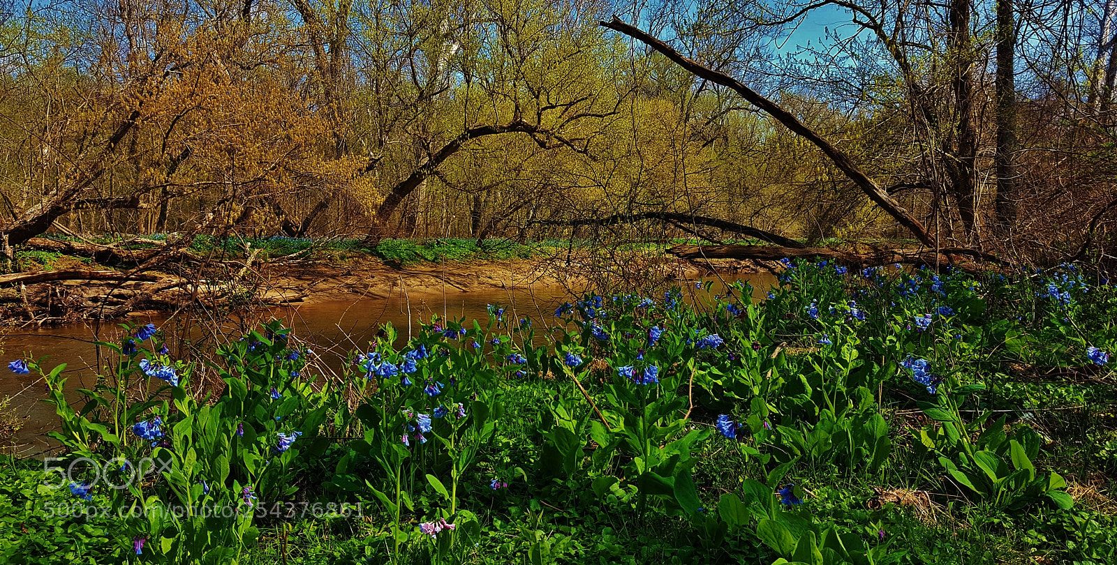 Samsung Galaxy S6 sample photo. Little patuxent river spring 2018 photography