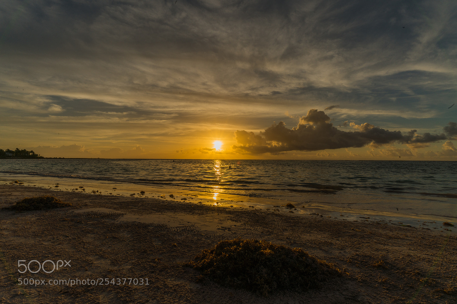 Sony a7R III sample photo. Playa de tortugas photography