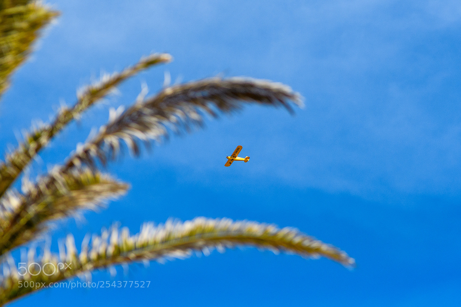 Nikon D500 sample photo. Flight photography