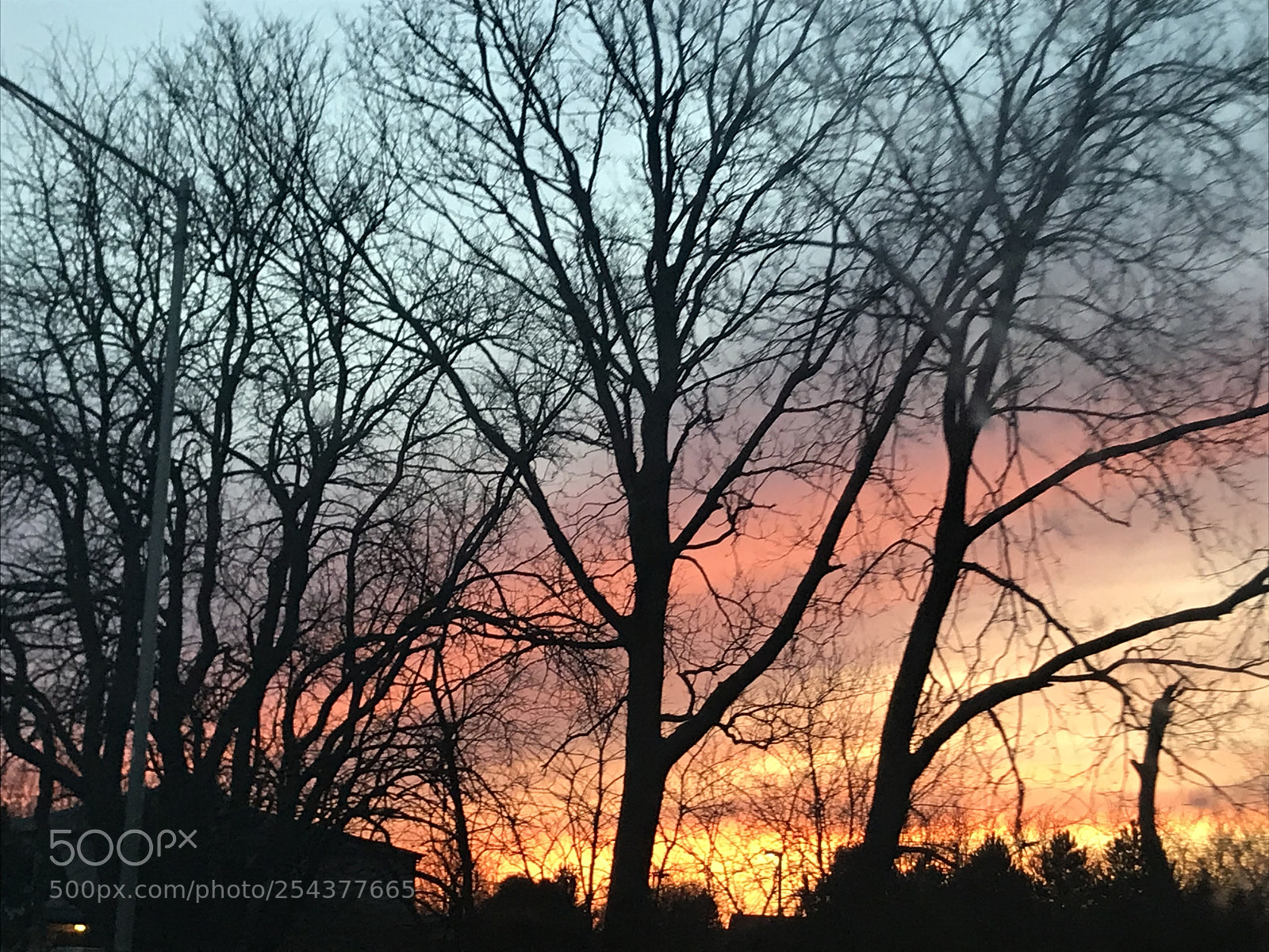 Apple iPhone 7 sample photo. Evening in suburbs photography