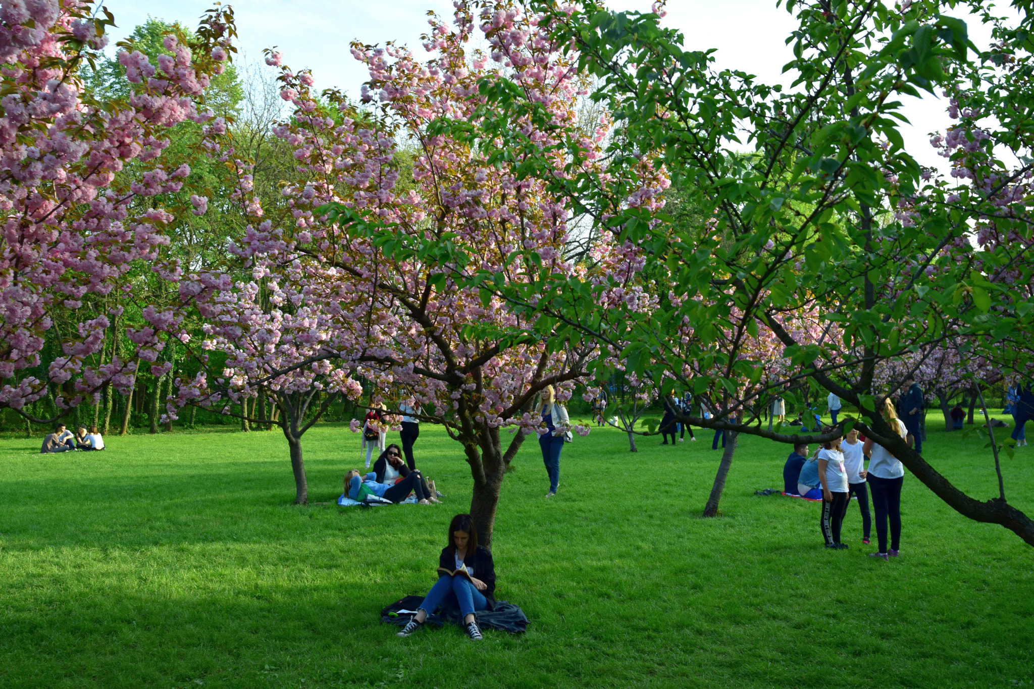 Nikon D5300 + Nikon AF-S Nikkor 20mm F1.8G ED sample photo. Spring time photography