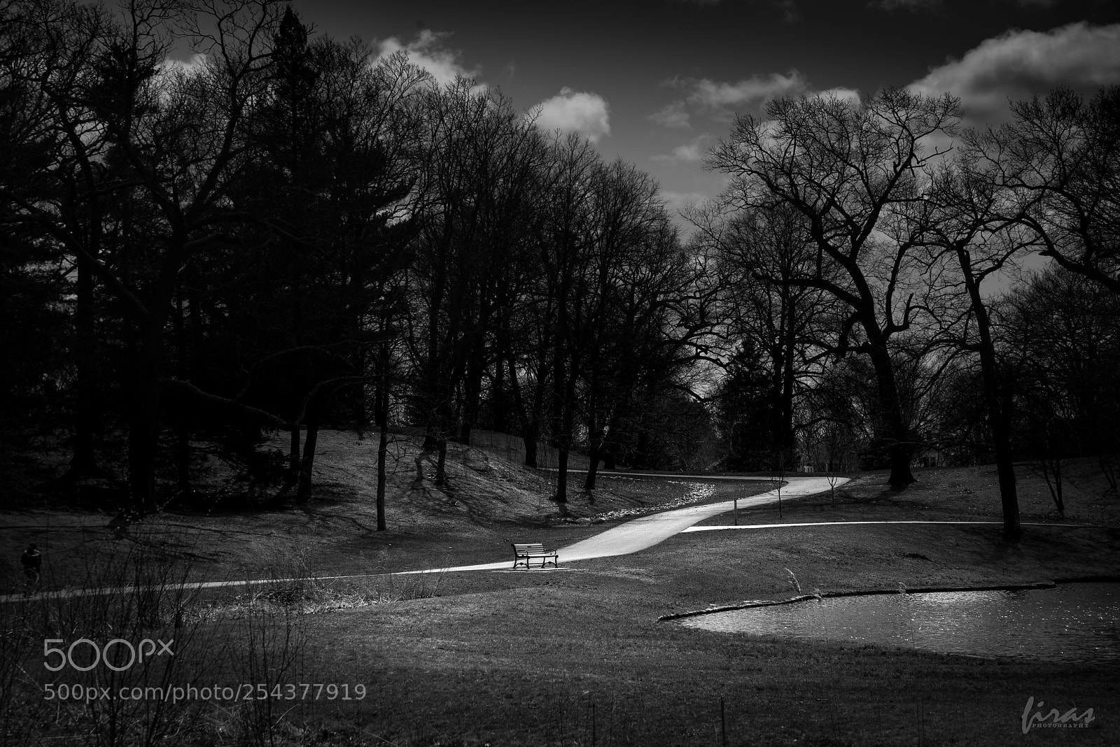Nikon D610 sample photo. B&w photography