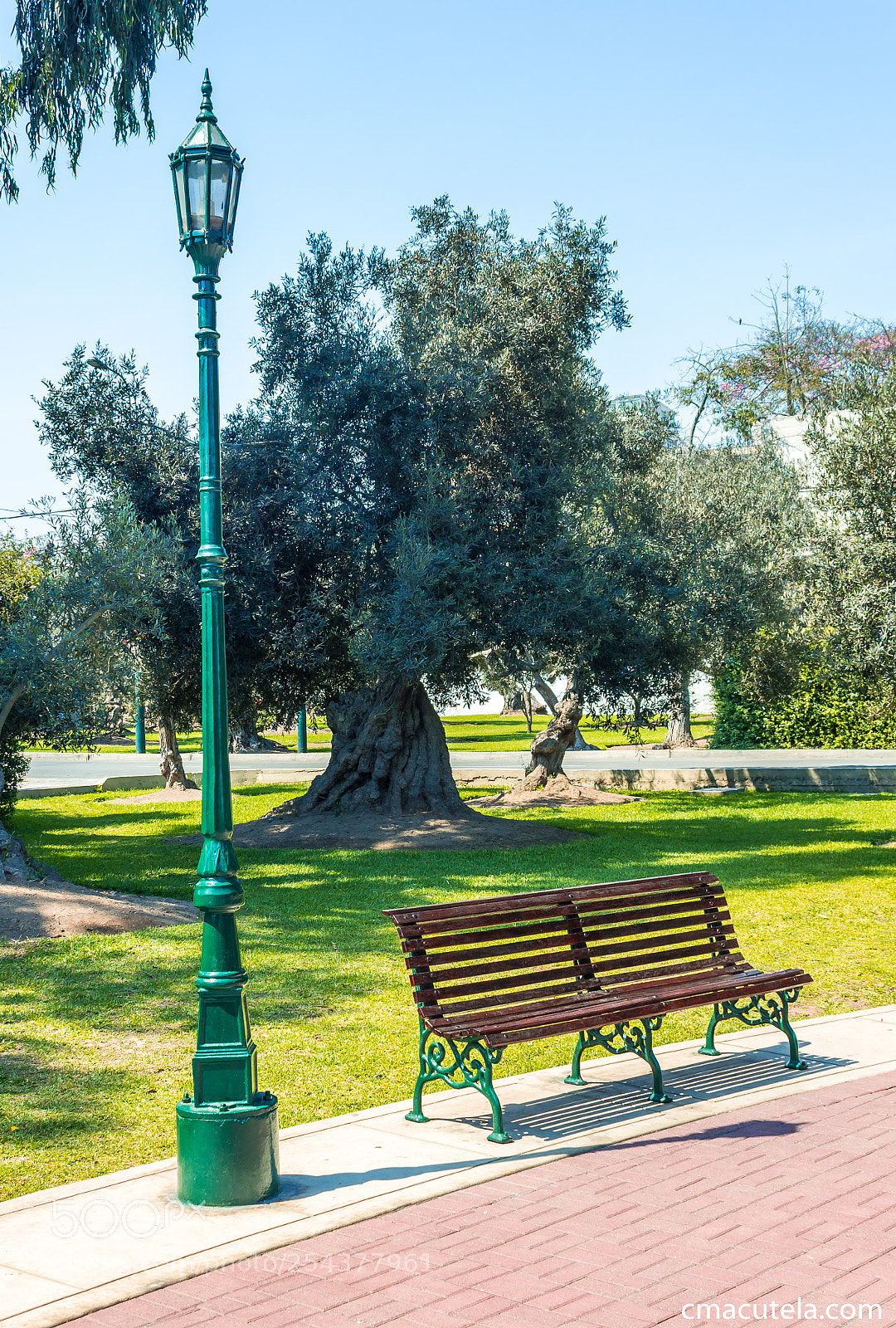 Canon EOS 1200D (EOS Rebel T5 / EOS Kiss X70 / EOS Hi) sample photo. El olivar photography