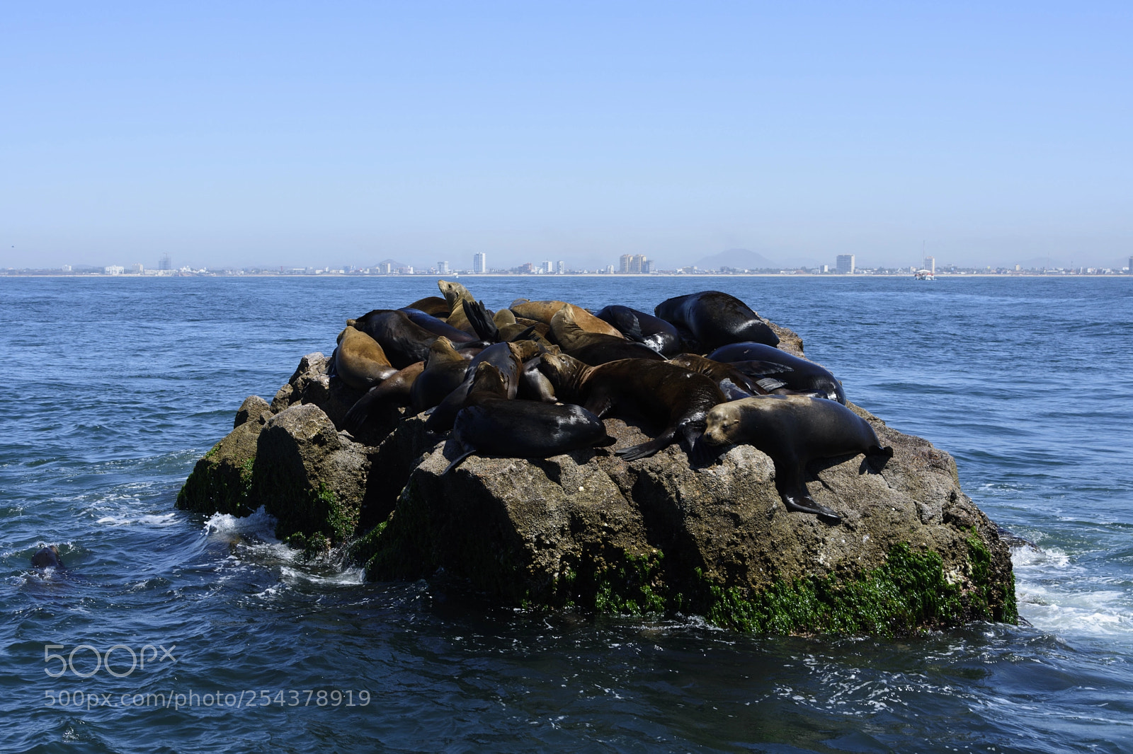 Nikon D7200 sample photo. Resting photography