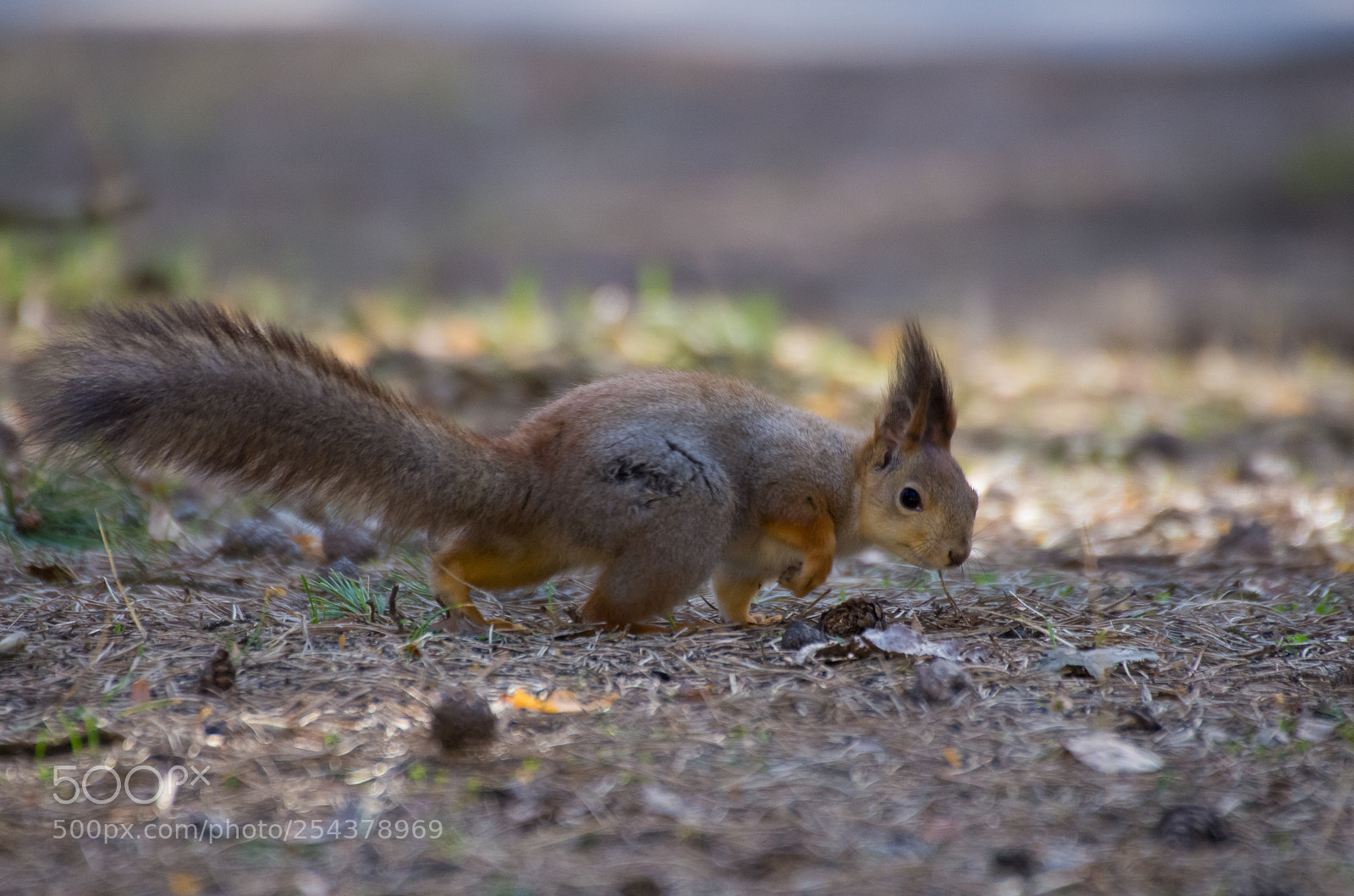 Pentax K-5 sample photo. Untitled photography