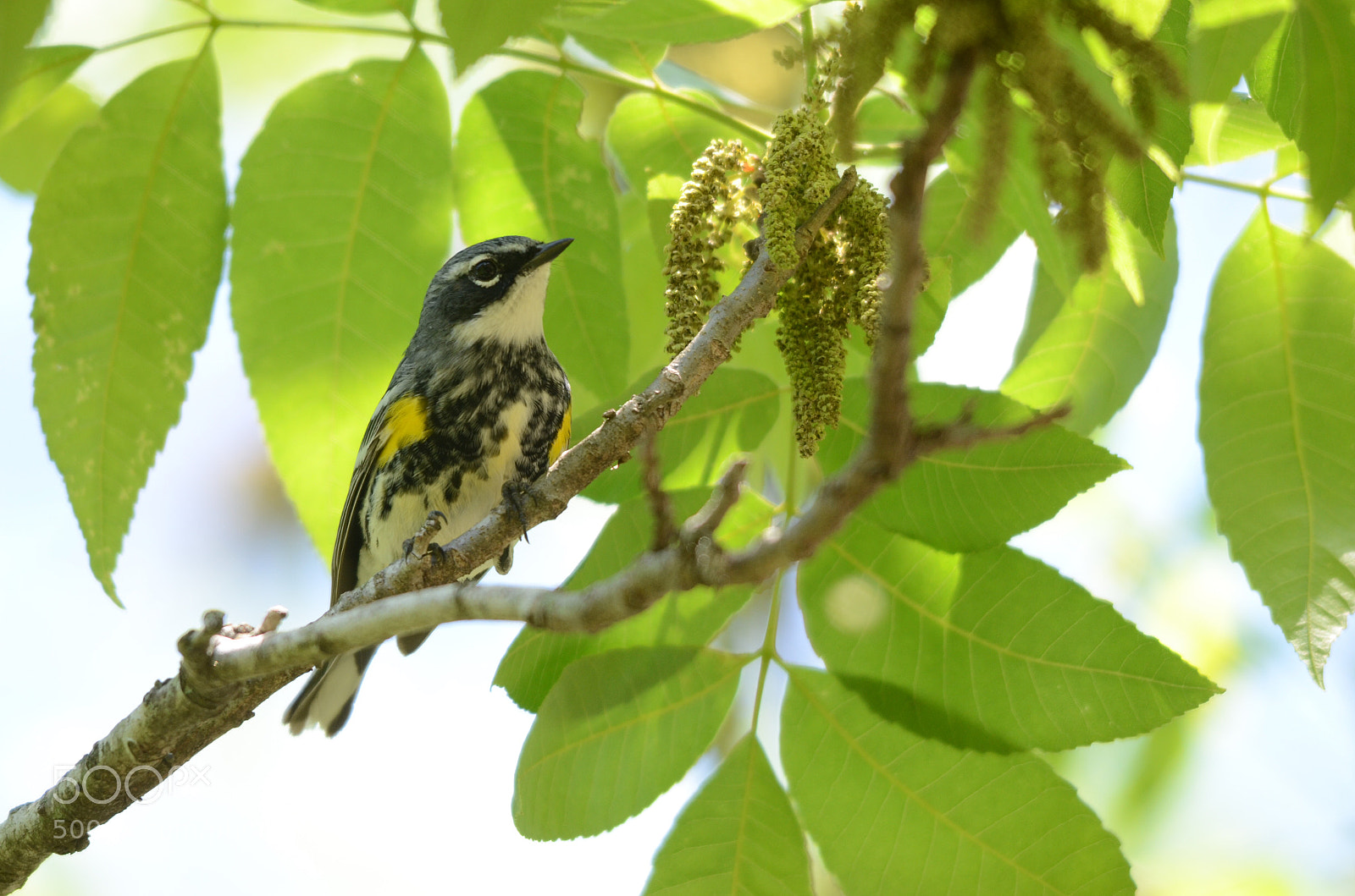 Nikon D7000 sample photo. Untitled photography