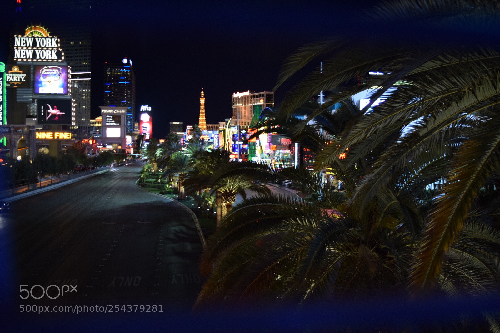 Nikon D3300 sample photo. Img photography