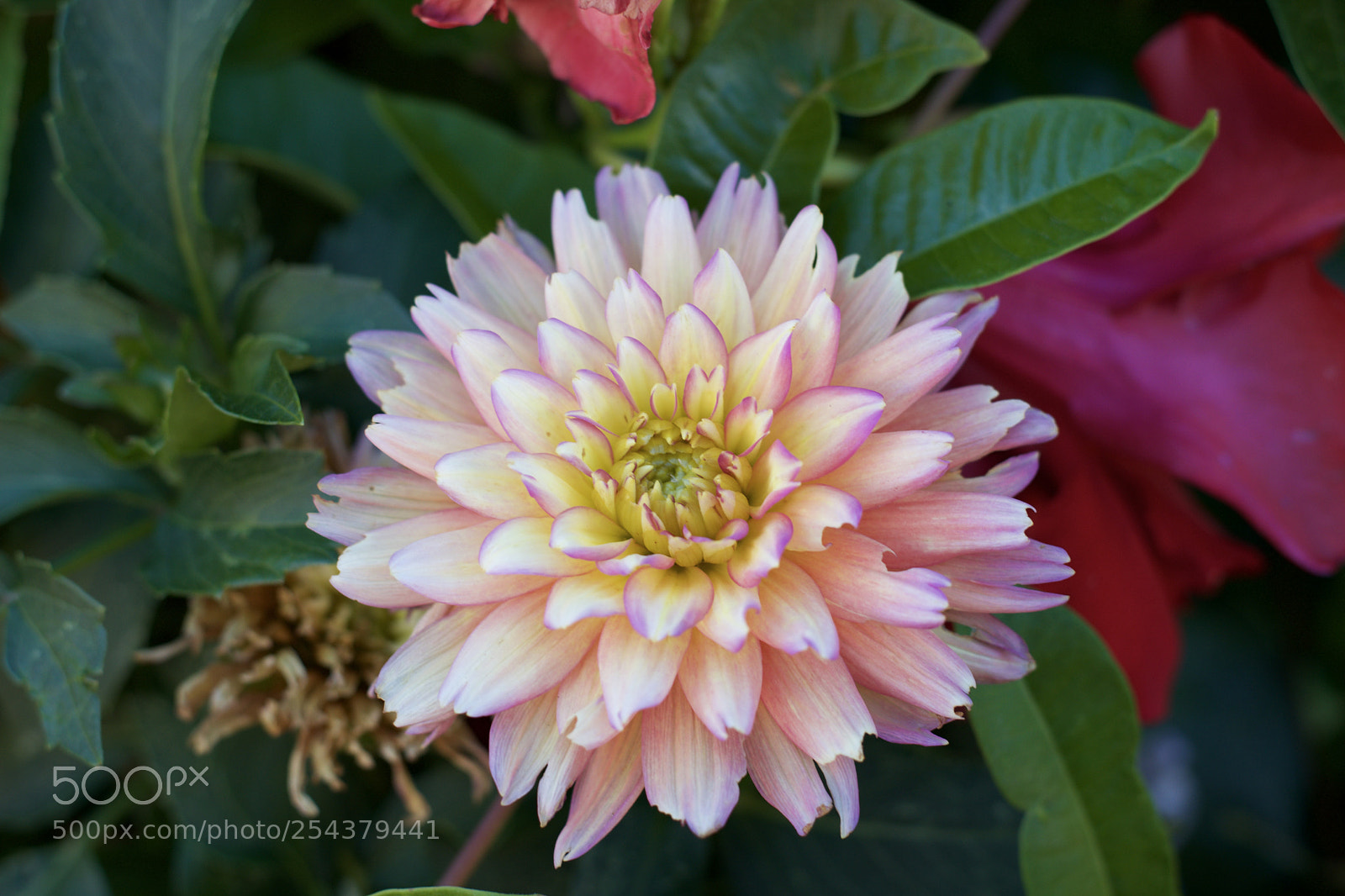 Nikon D3300 sample photo. Fullsizeoutput e photography