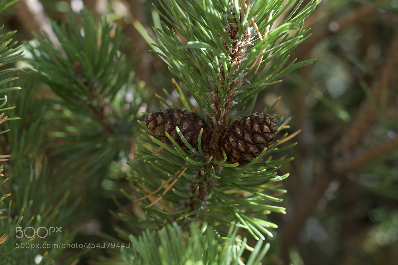 Nikon D3300 sample photo. Fullsizeoutput ed photography