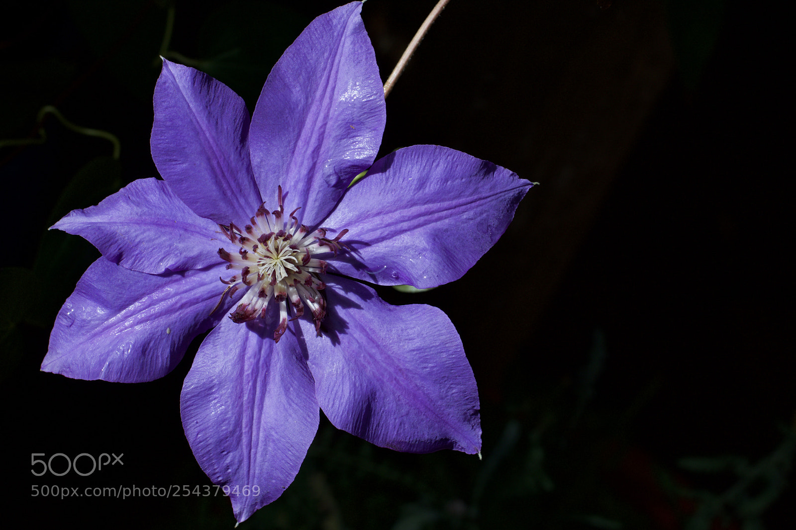 Nikon D3300 sample photo. Fullsizeoutput ec photography